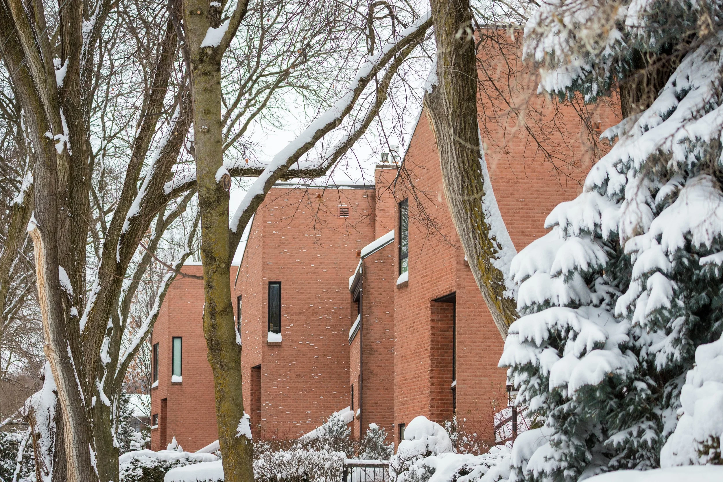 January 15 2025 Snow Storm-20.jpg