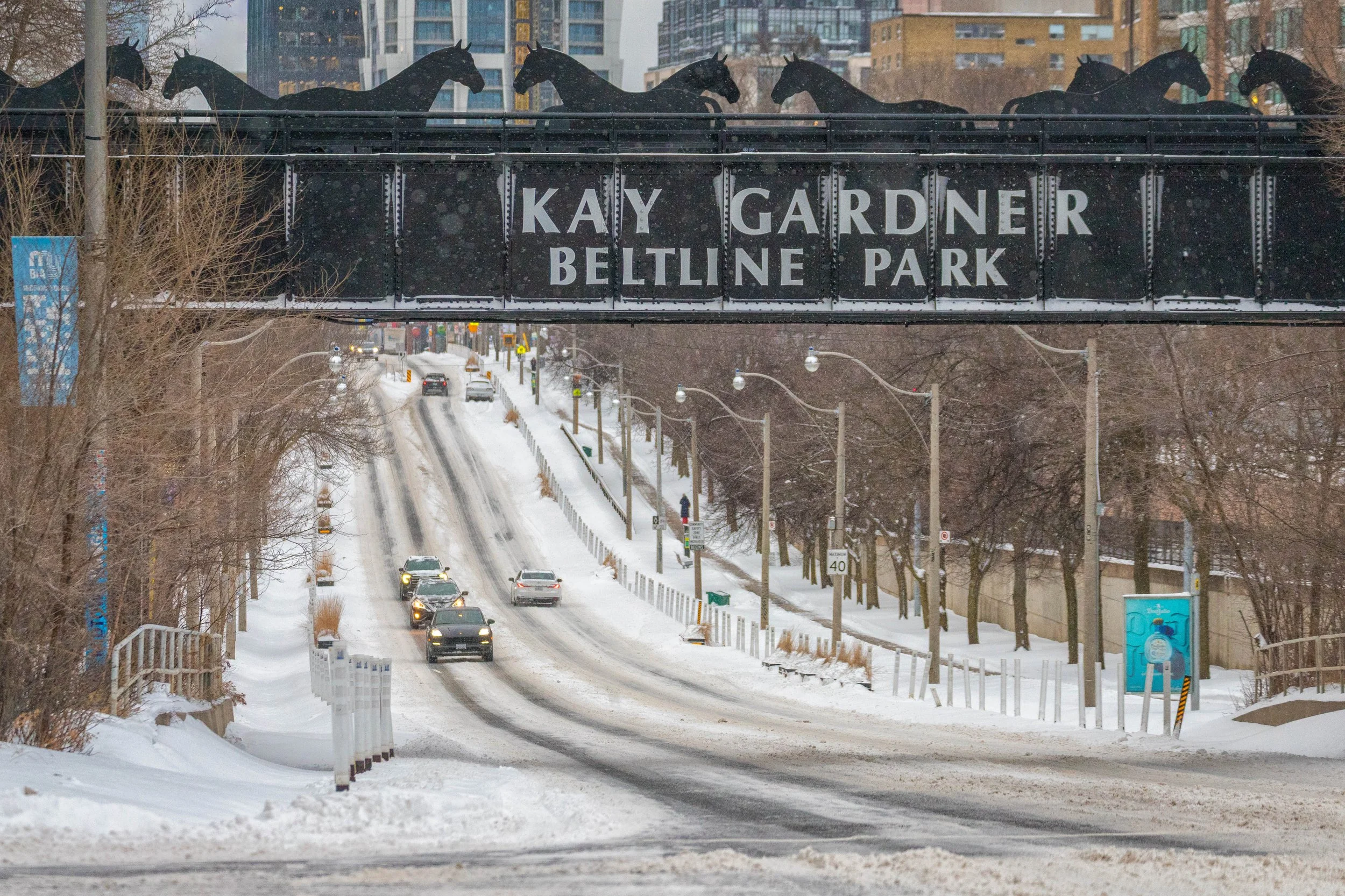 January 15 2025 Snow Storm-22.jpg