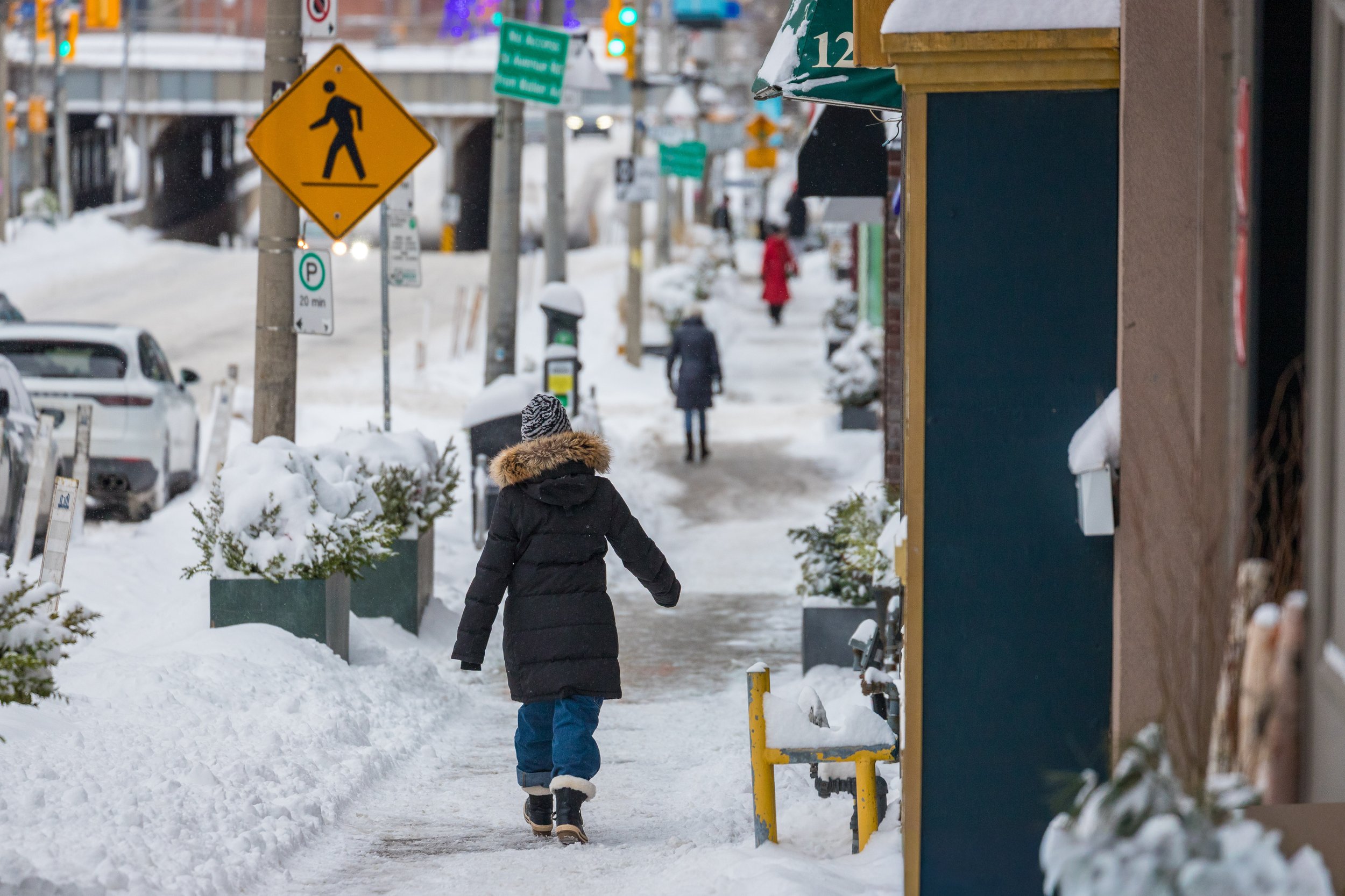 January 15 2025 Snow Storm-18.jpg