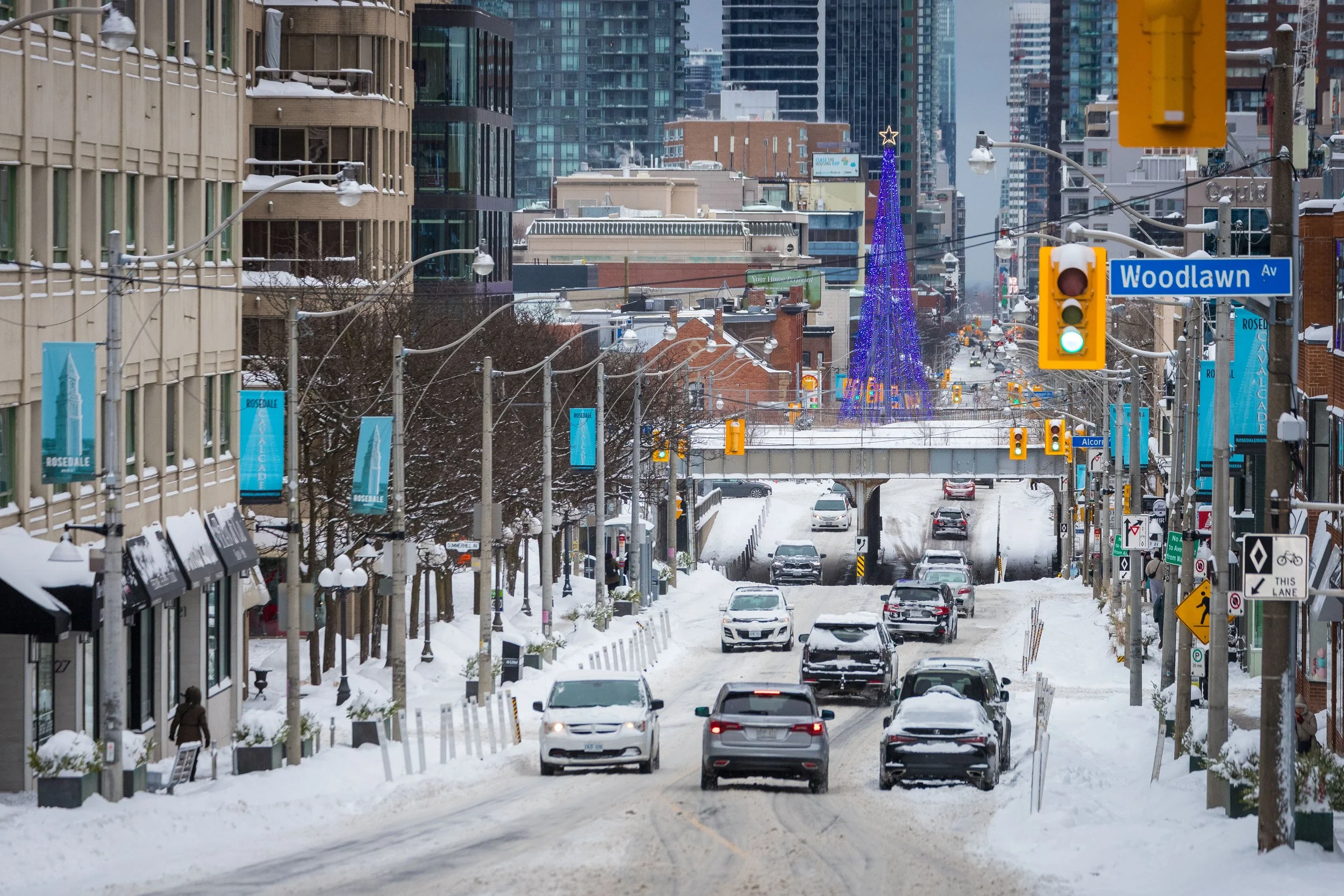 January 15 2025 Snow Storm-17.jpg