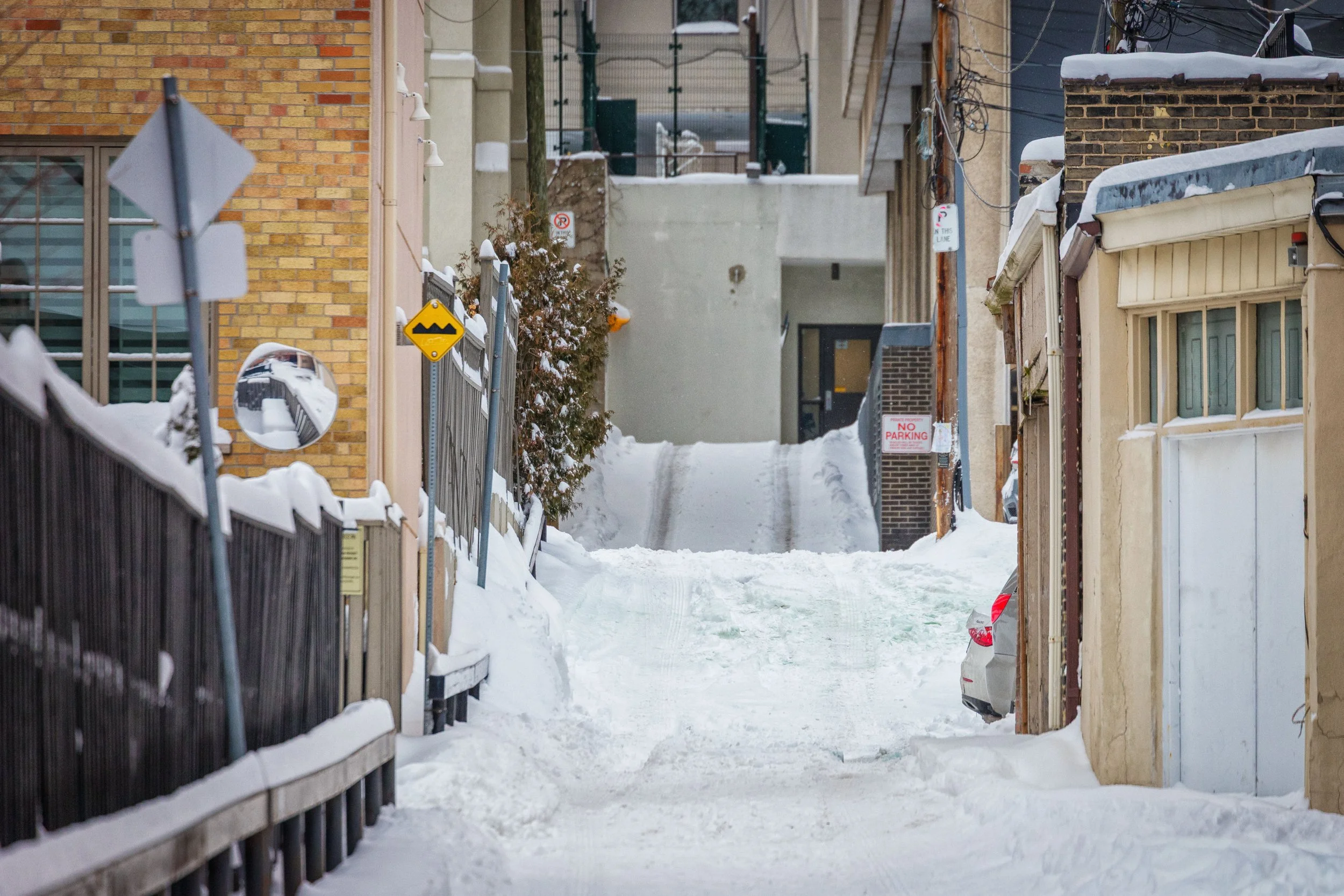 January 15 2025 Snow Storm-19.jpg