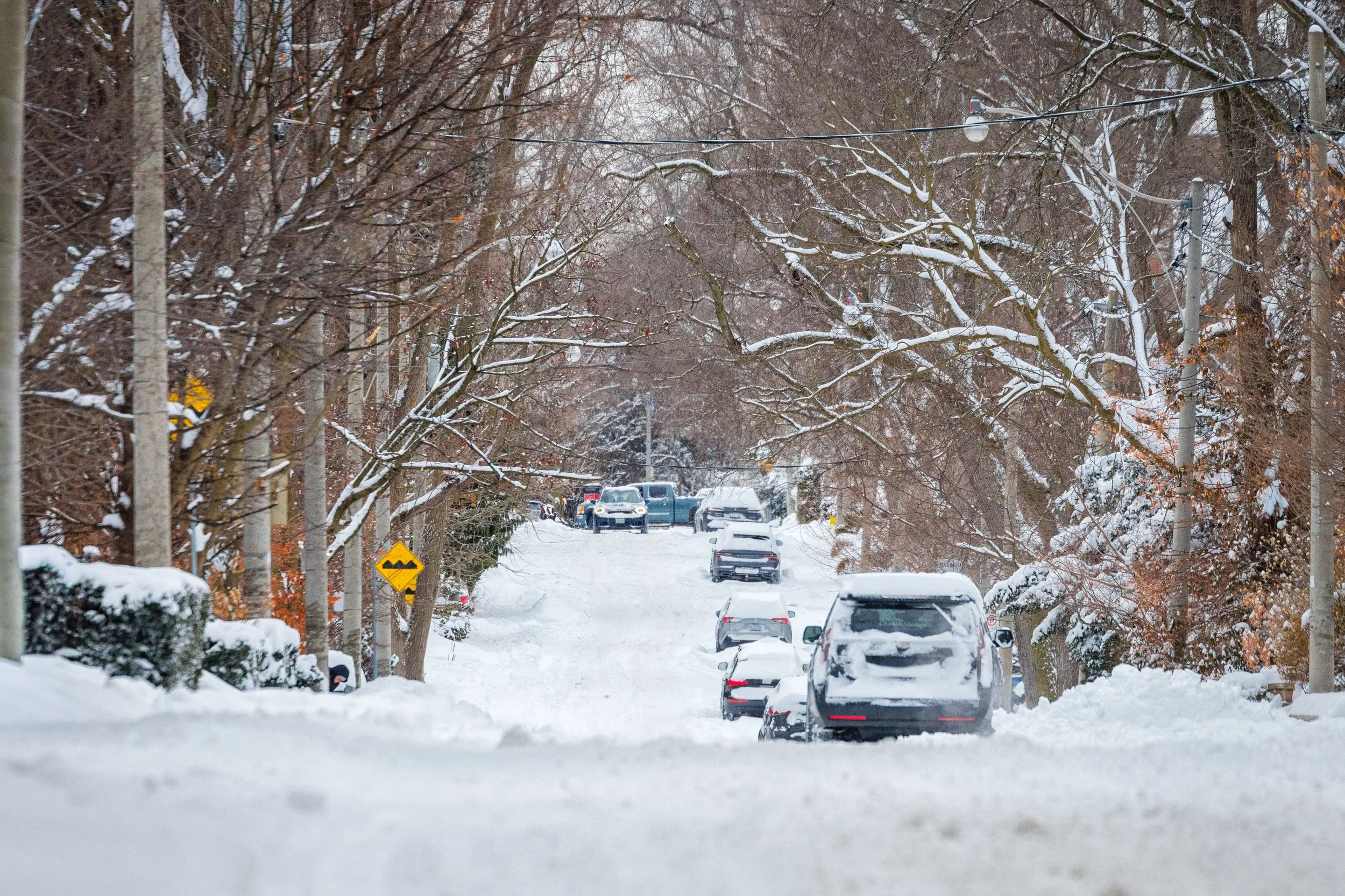 January 15 2025 Snow Storm-16.jpg