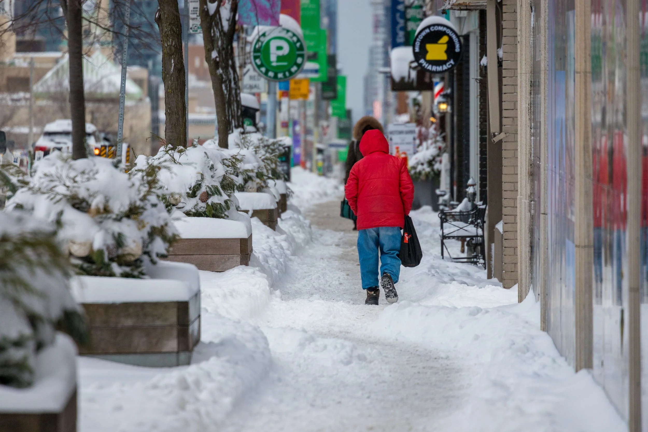 January 15 2025 Snow Storm-13.jpg