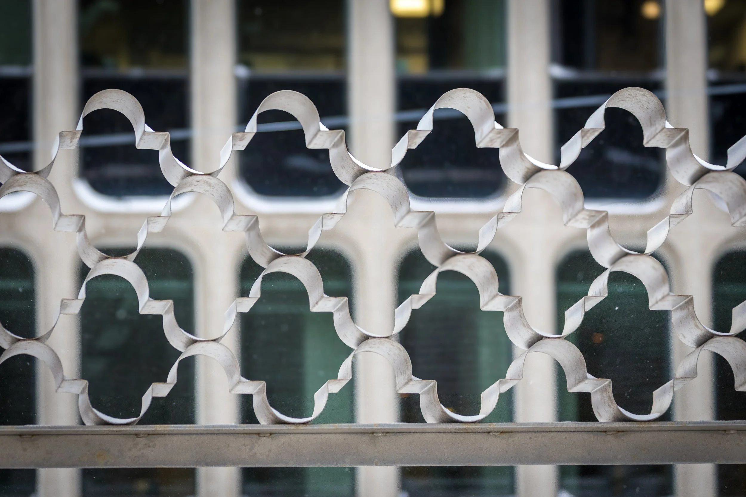 January 15 2025 Snow Storm-7.jpg