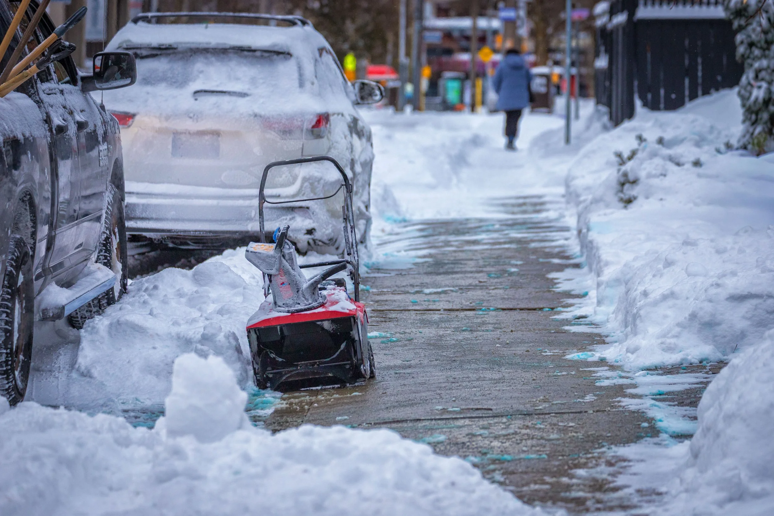 January 15 2025 Snow Storm-2.jpg