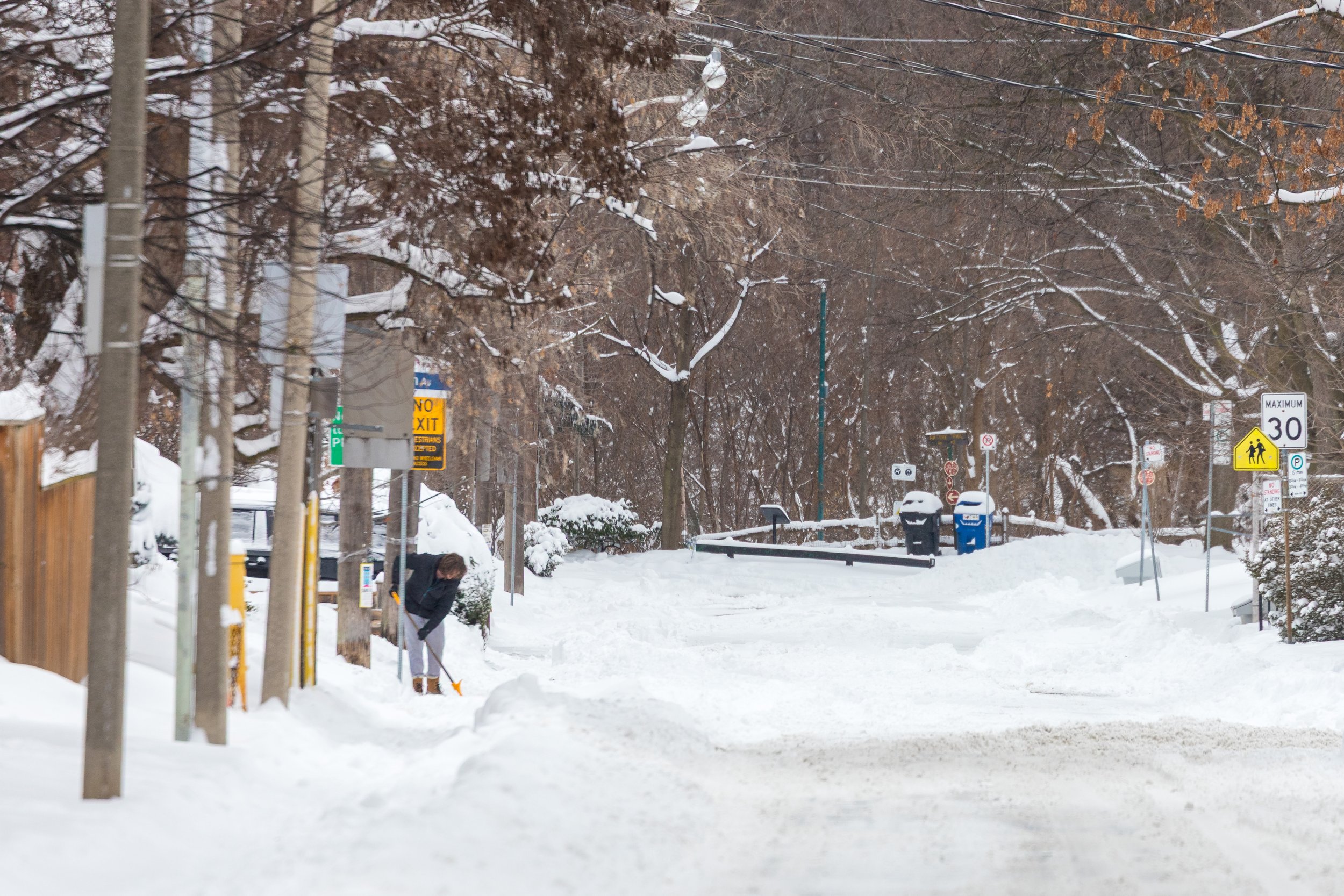 January 15 2025 Snow Storm 25.jpg