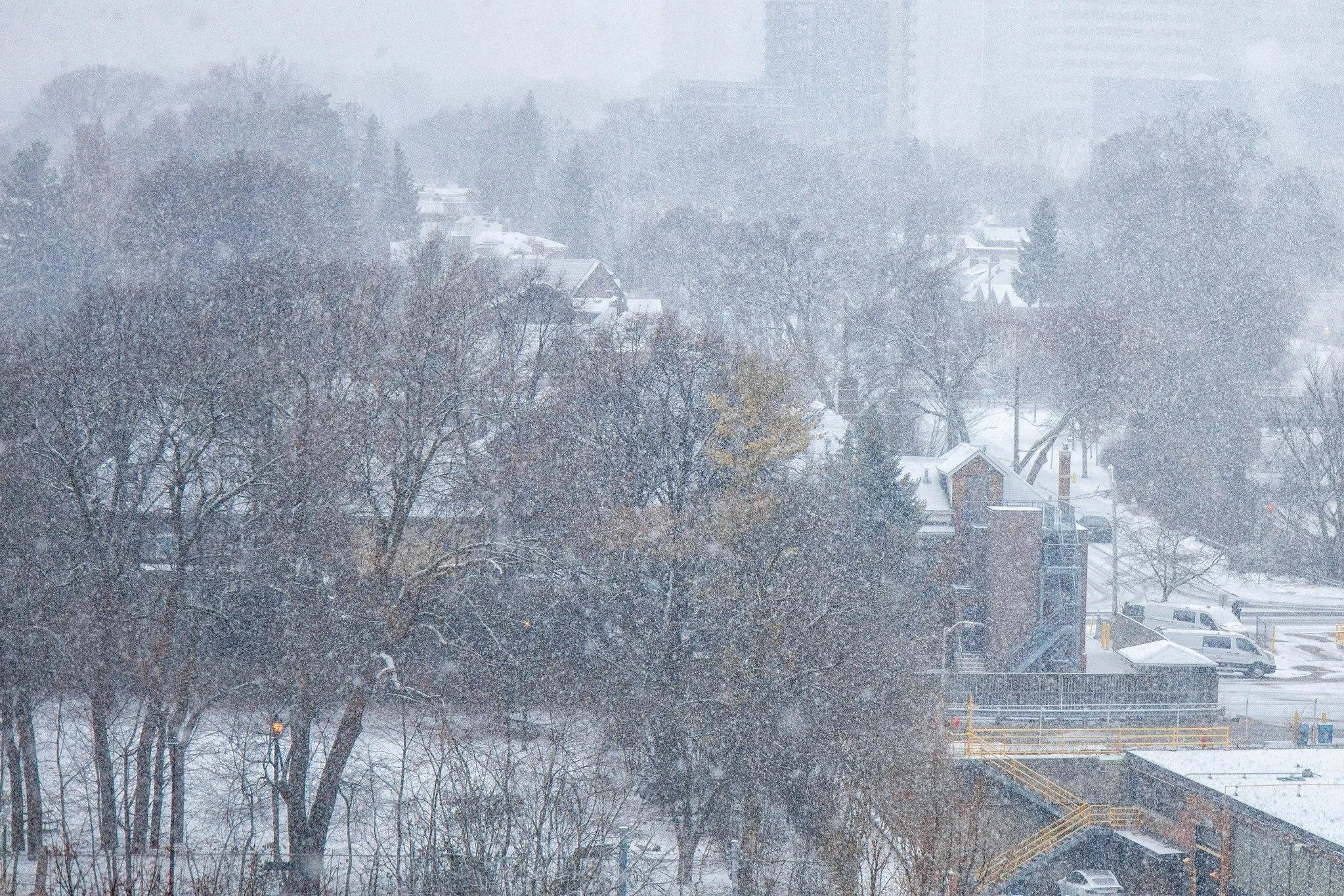 First Flickr Explore of 2026