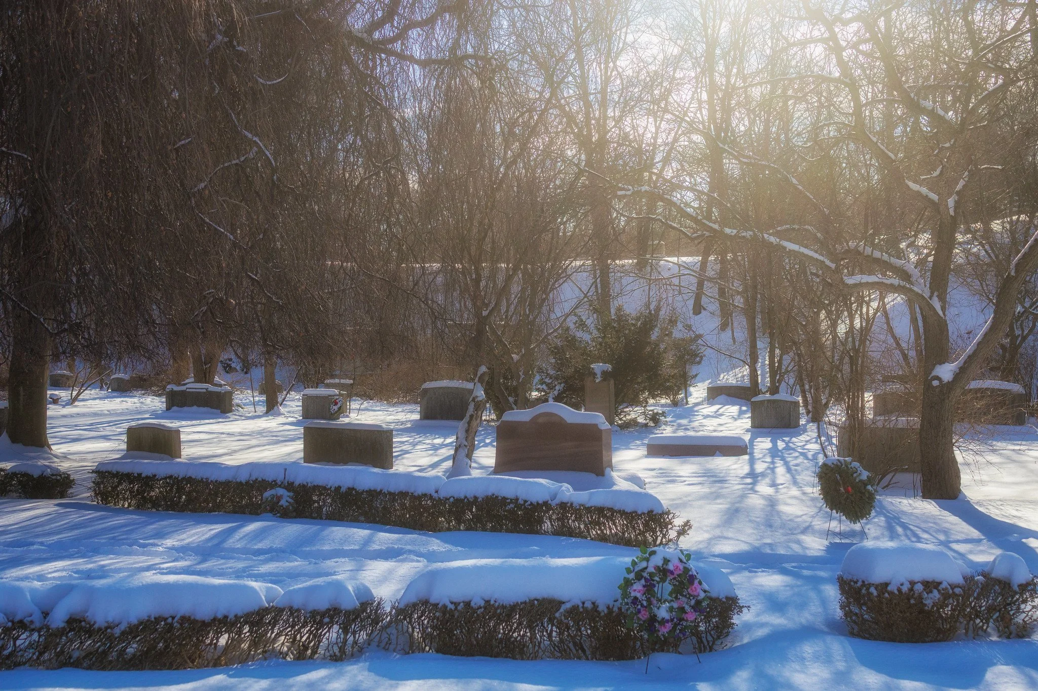 In the Morning Light — Mount Pleasant Cemetery