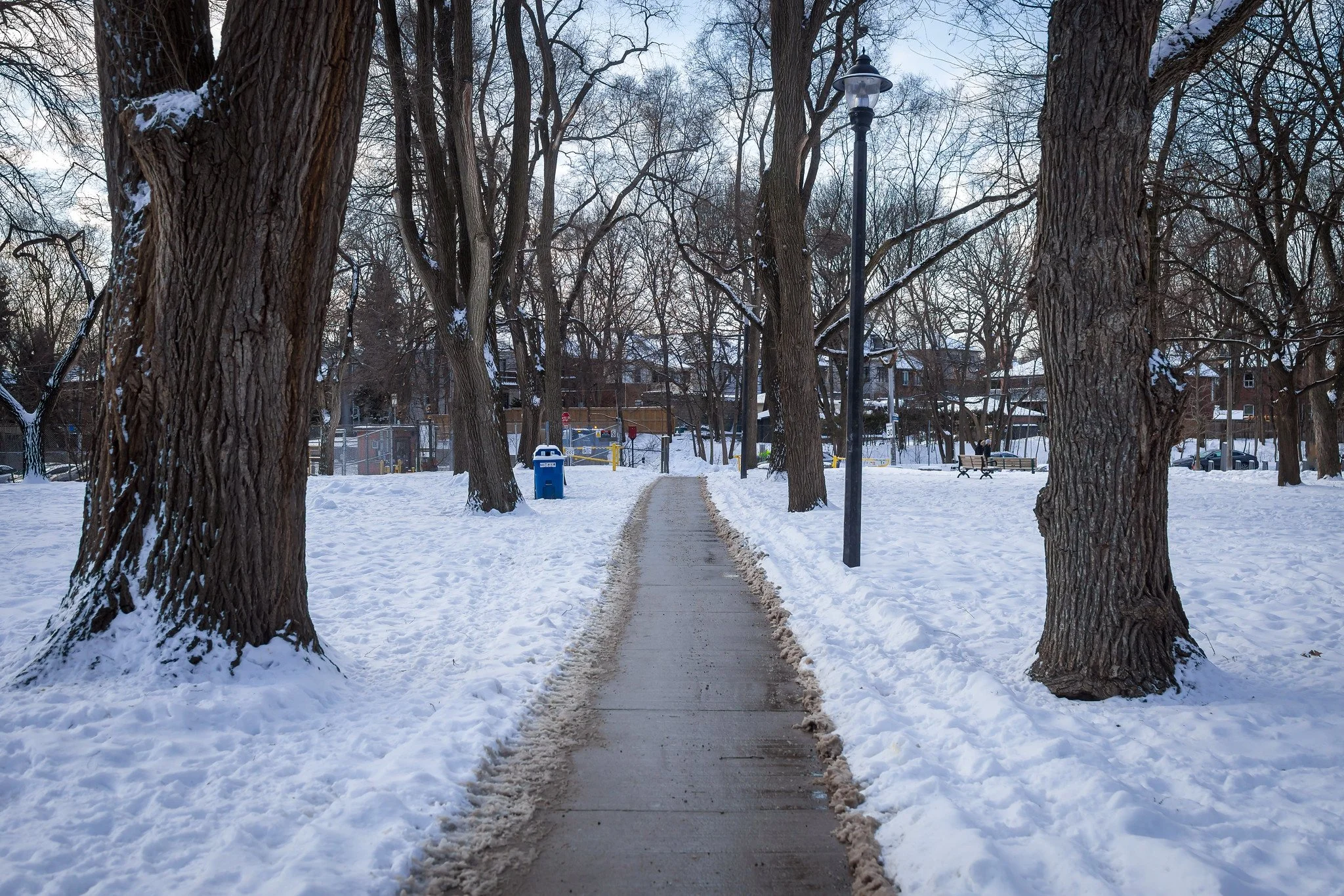 Winter Path, Oriole Park
