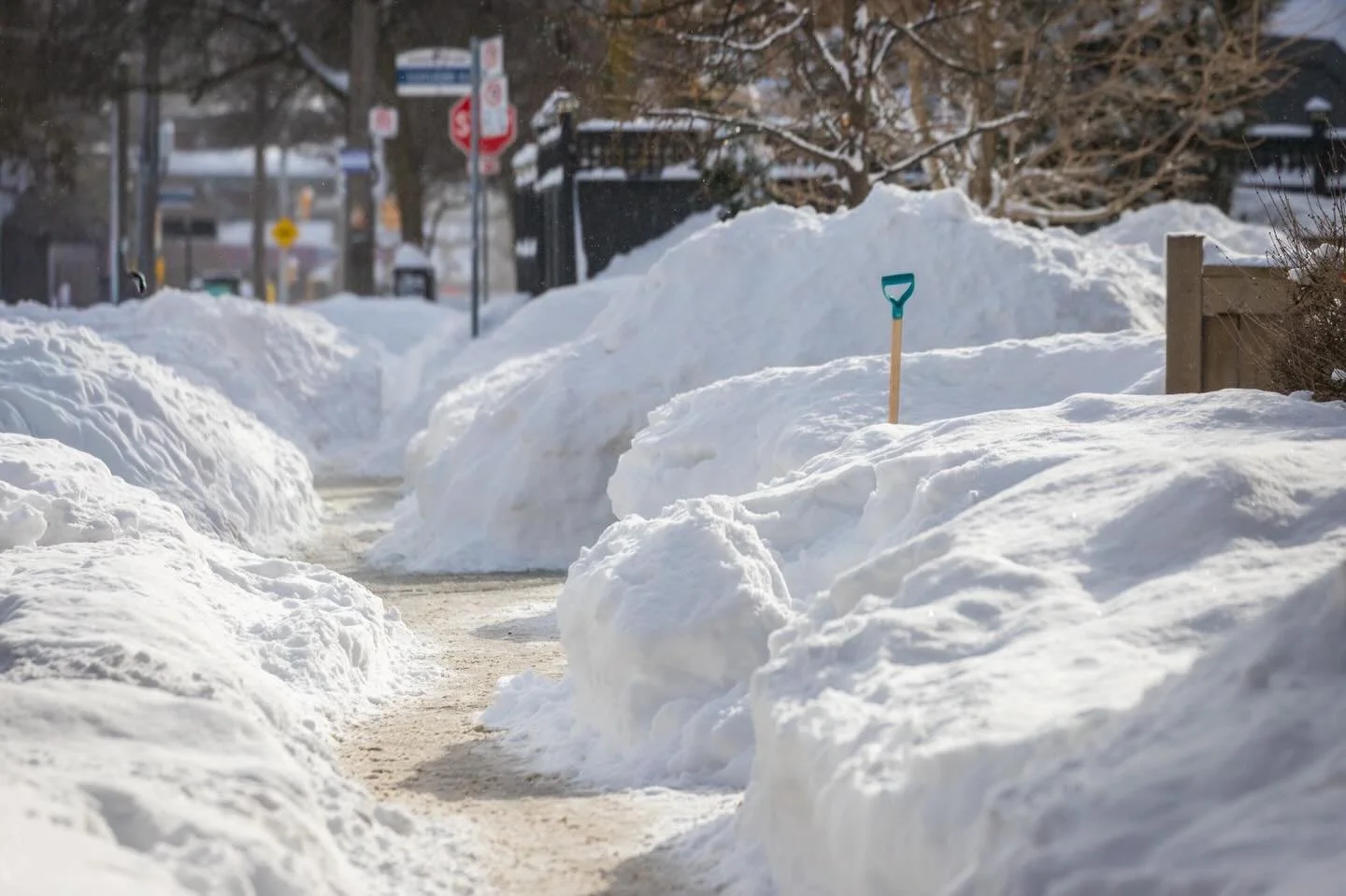 Fresh paths through deep winter.
There&rsquo;s something quietly magical about these snow-lined sidewalks &mdash; a reminder that even after the heaviest storms, we keep moving forward. ❄️