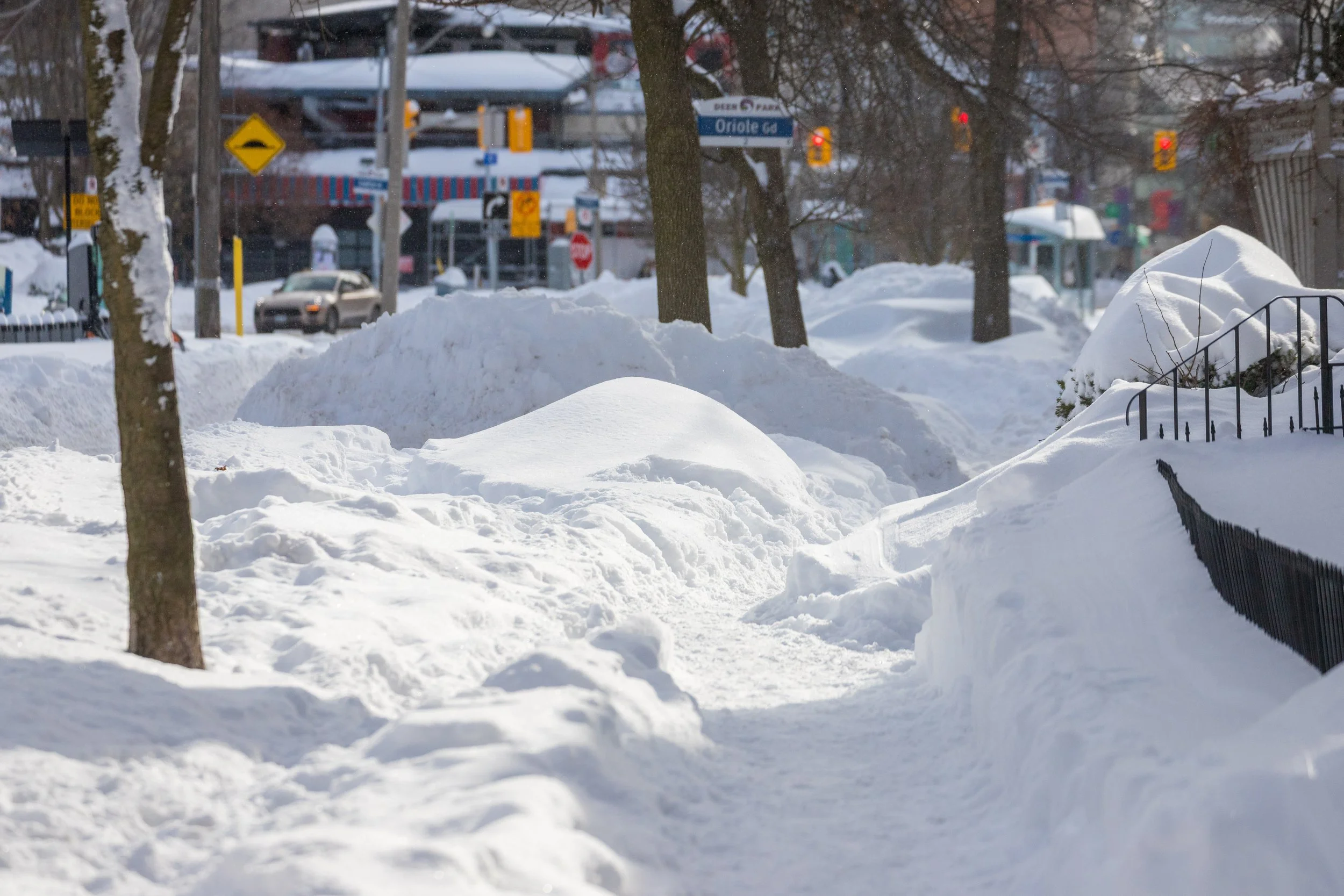 January 25 Storm Aftermath-11.jpg