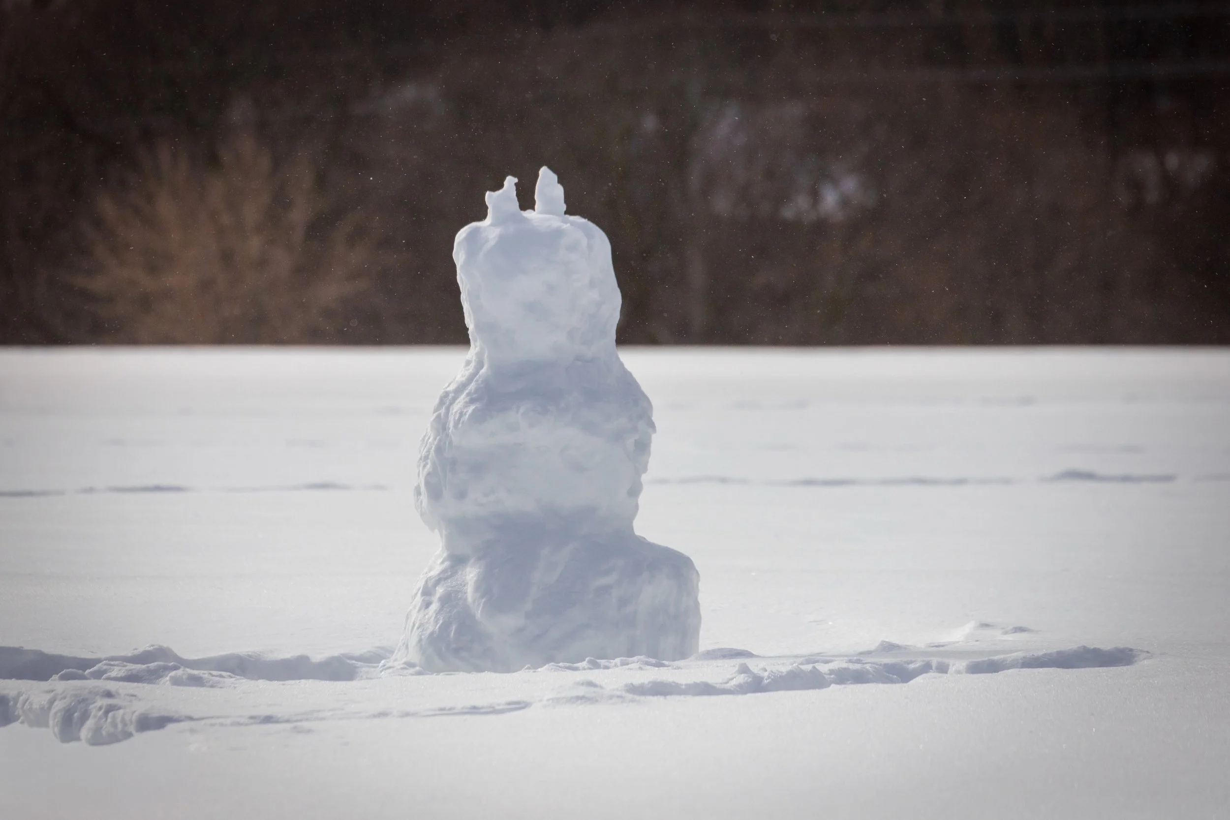 January 25 Storm Aftermath-19.jpg