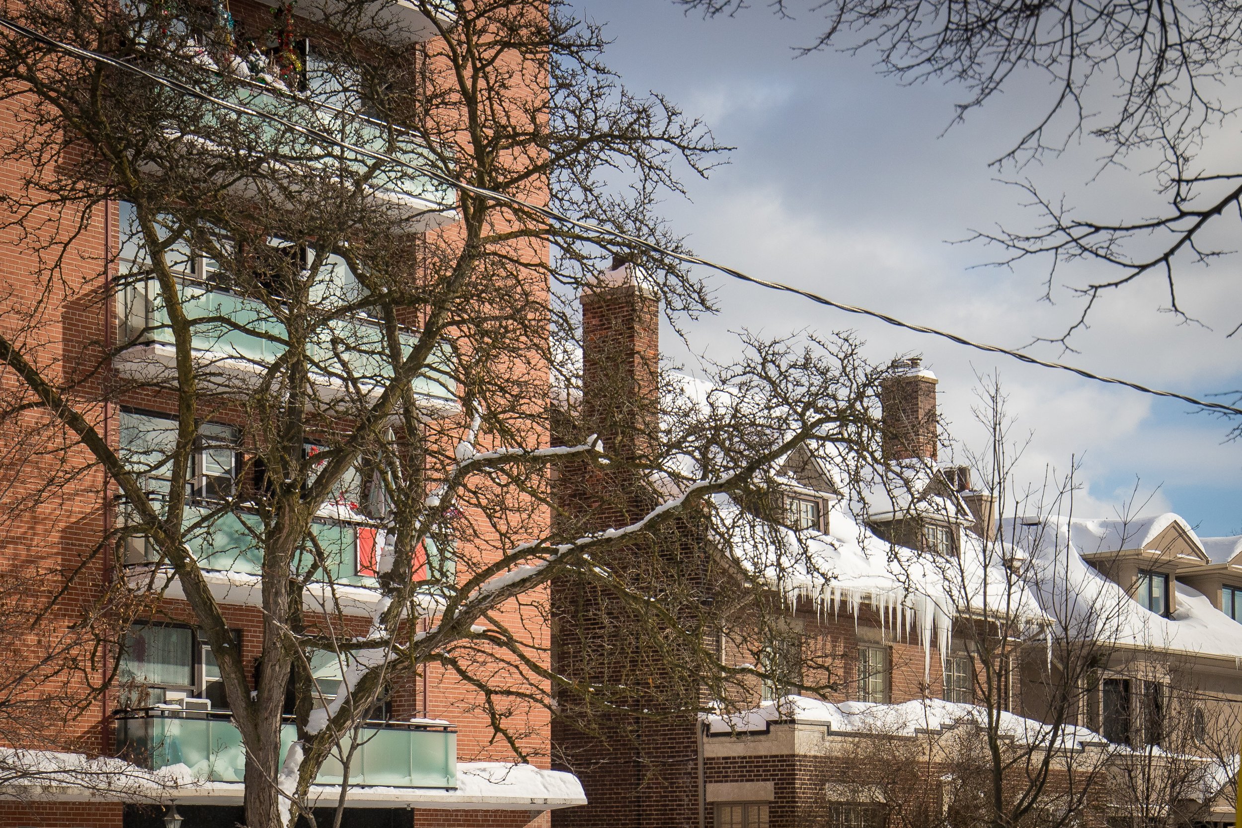 January 25 Storm Aftermath-26.jpg