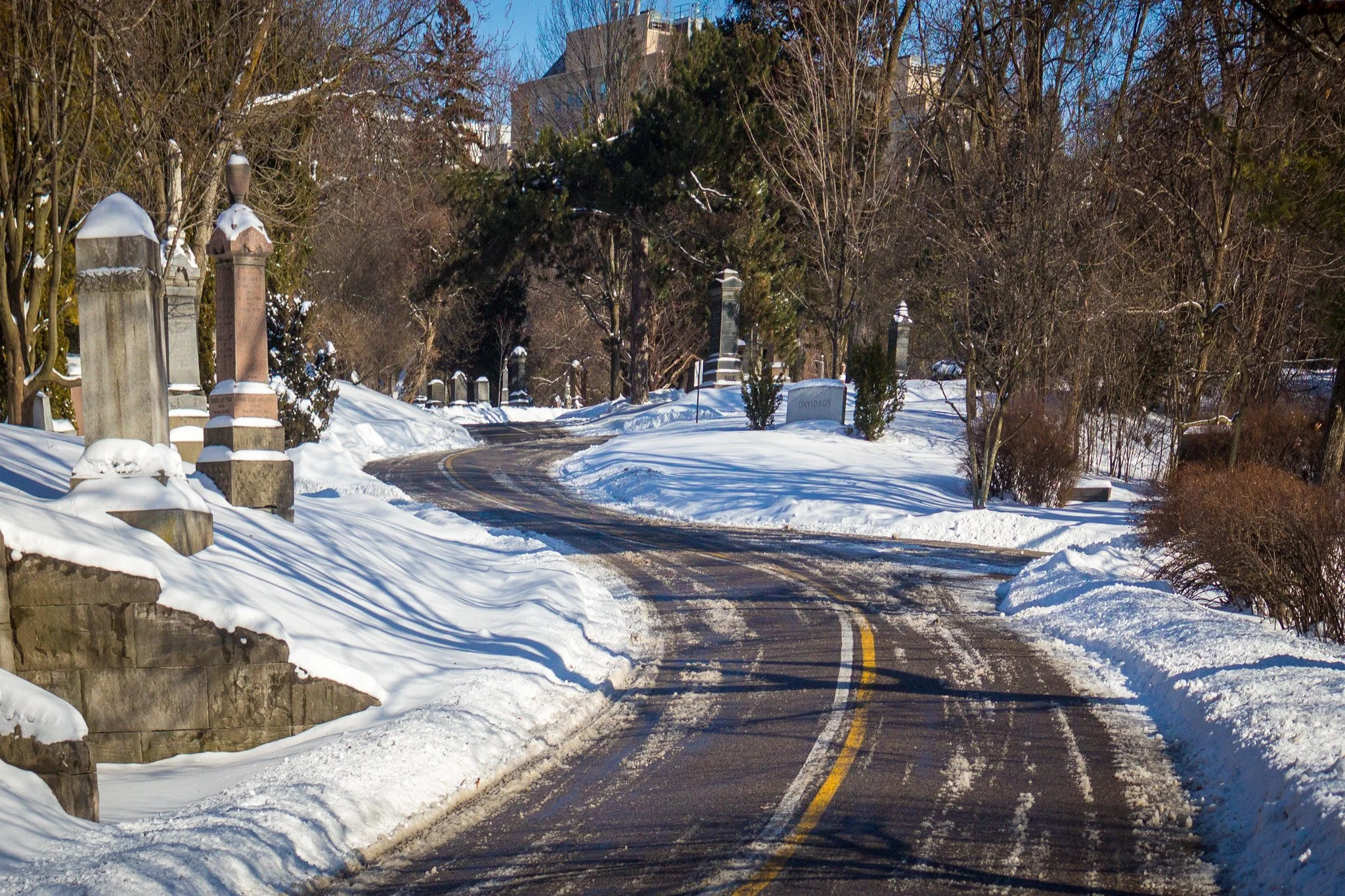 Road Through Mount Pleasant Cemetery