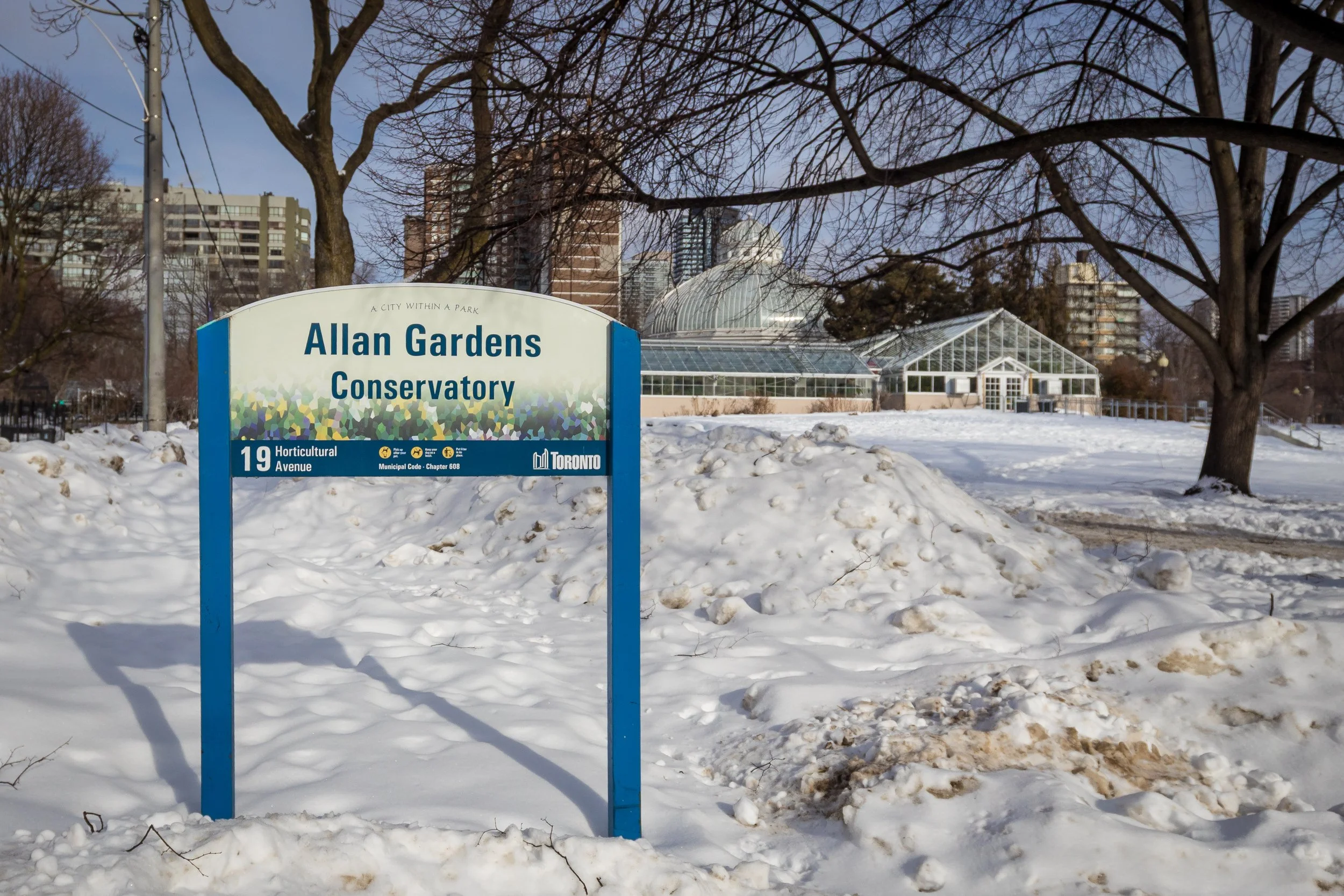 Allan Gardens Toronto-9116.jpg