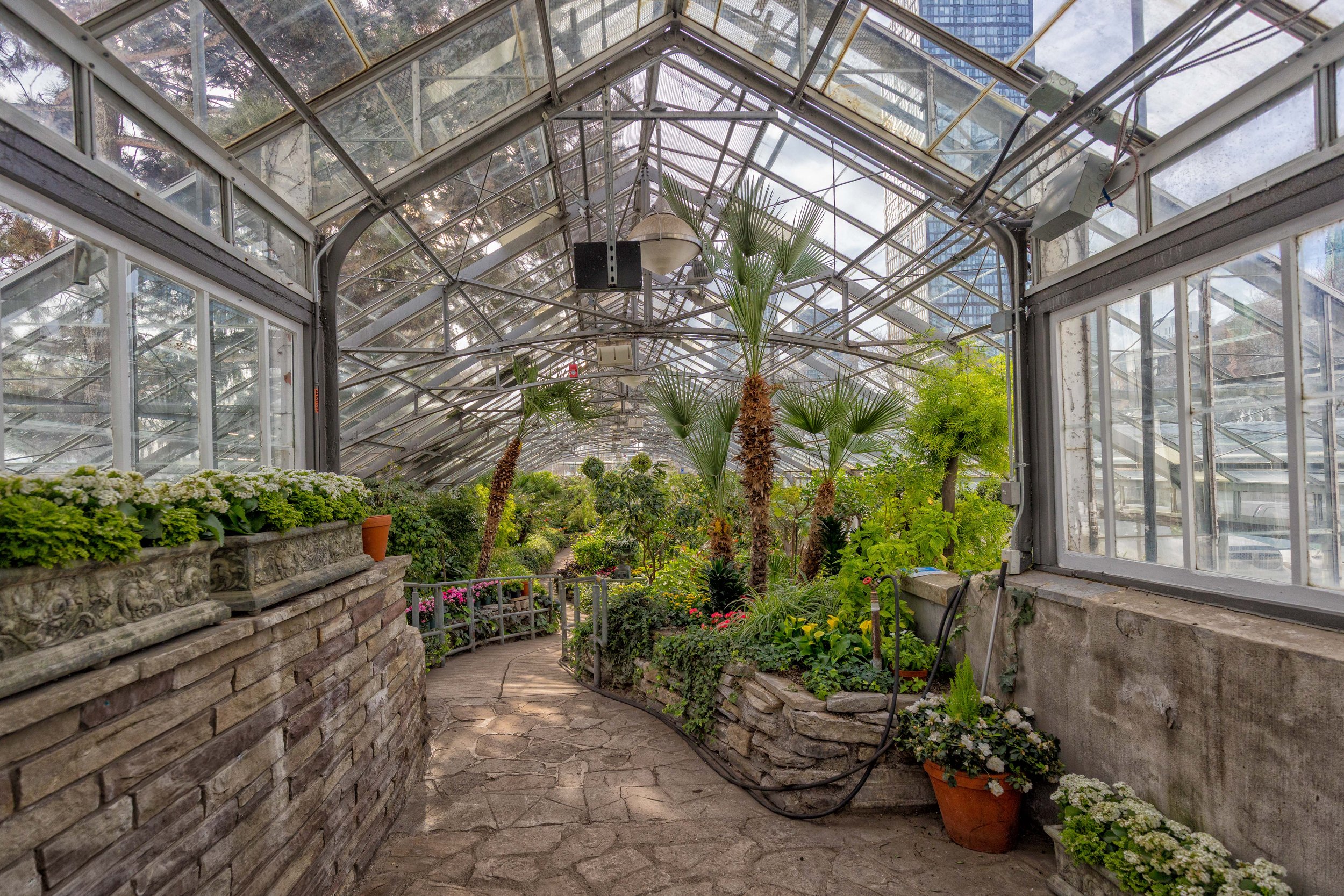 Allan Gardens Toronto--8.jpg