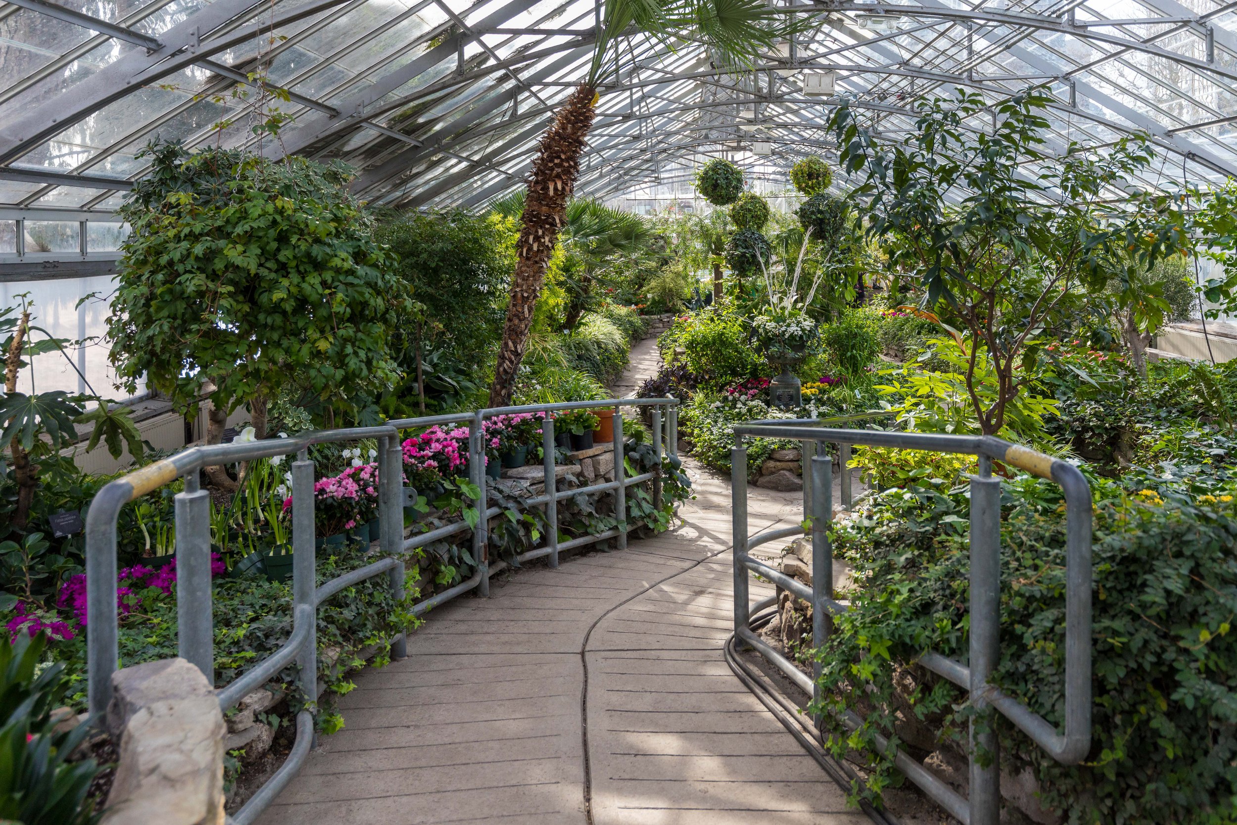 Allan Gardens Toronto-9462.jpg