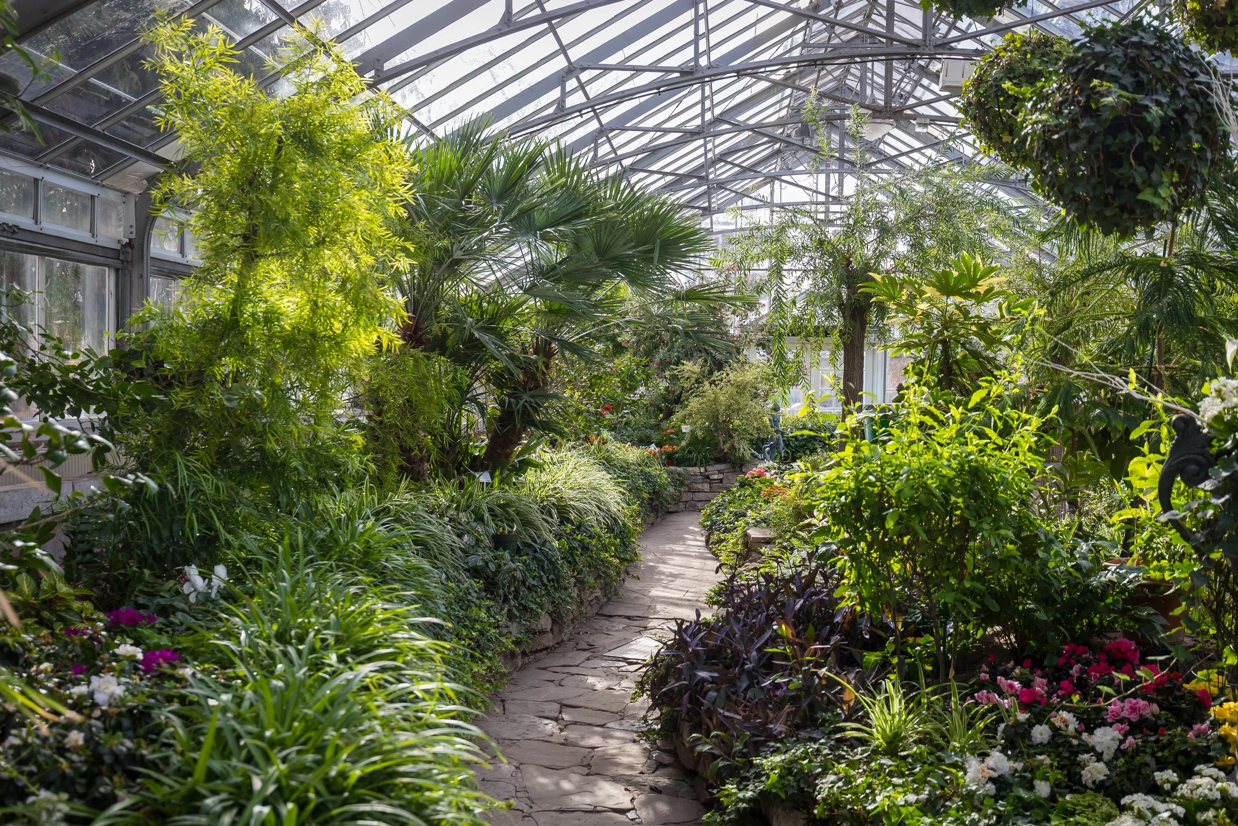 Allan Gardens Toronto-9468.jpg