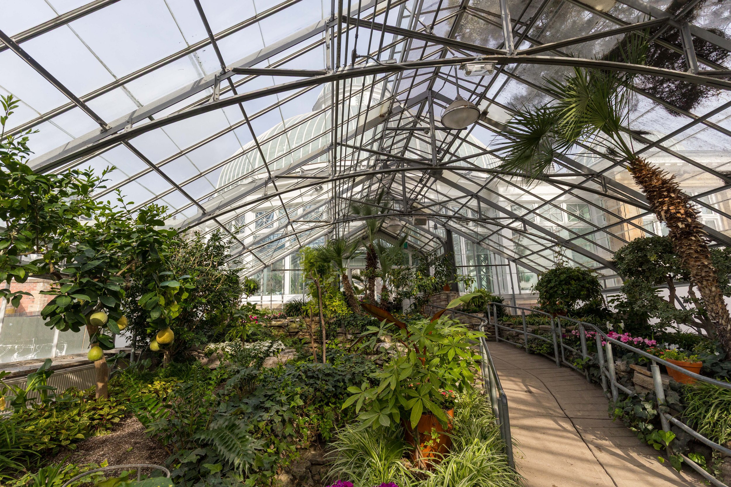 Allan Gardens Toronto-9487.jpg