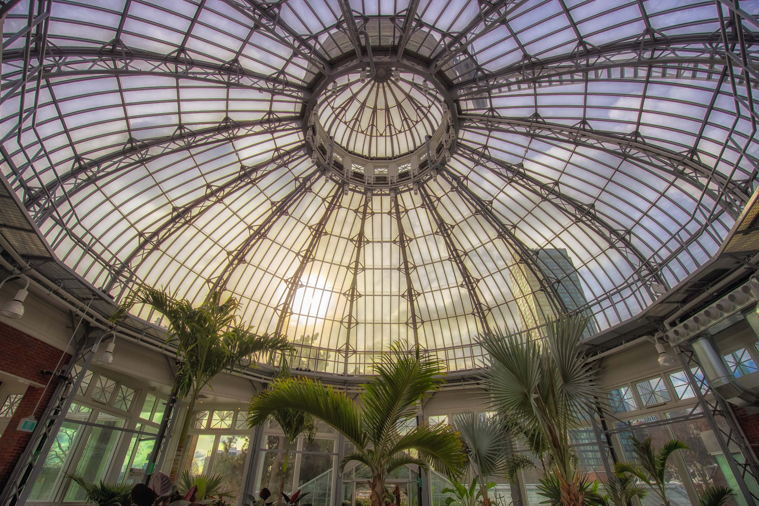 Allan Gardens Toronto--10.jpg