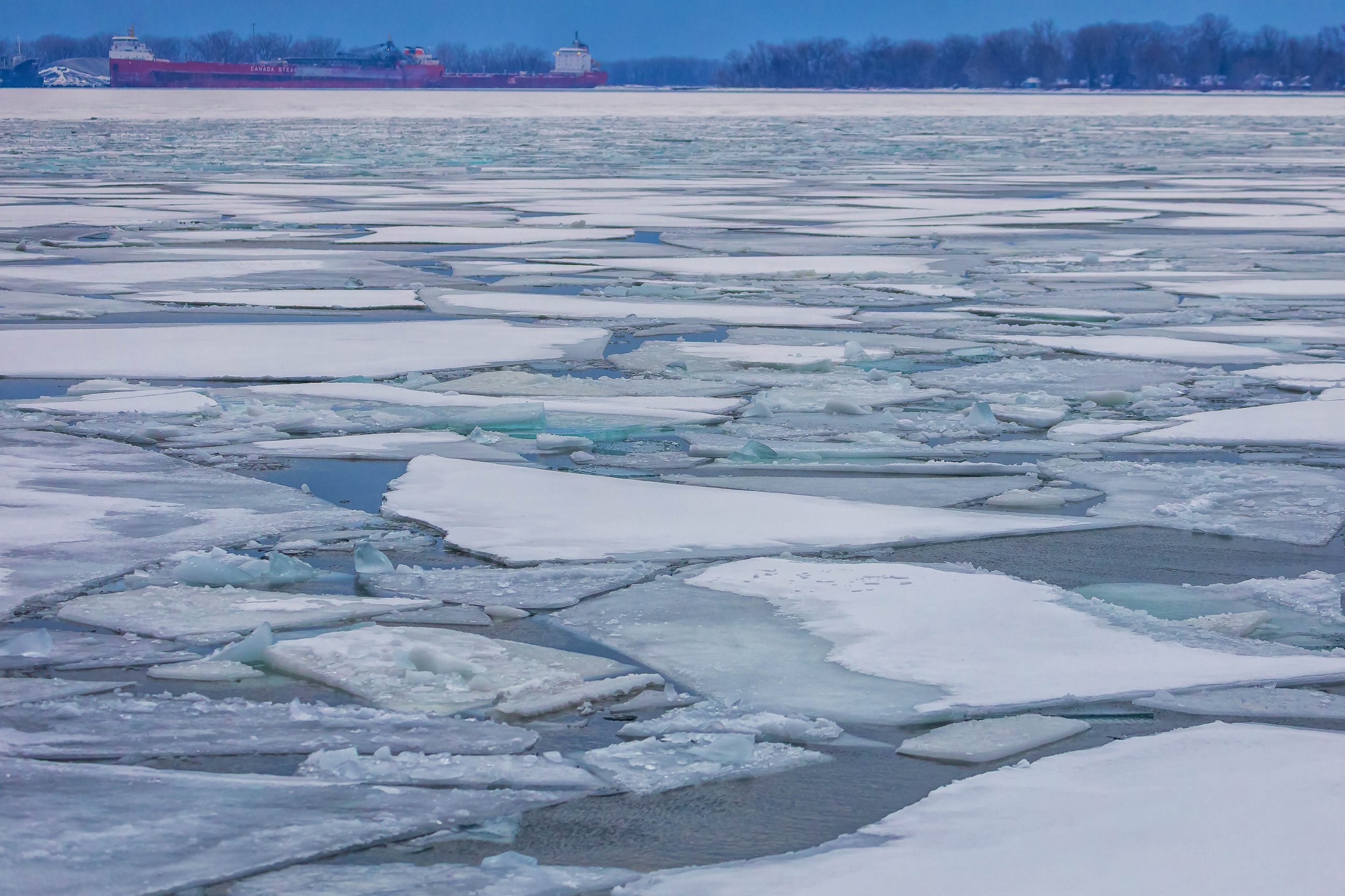 Harbourfront Toronto--6.jpg