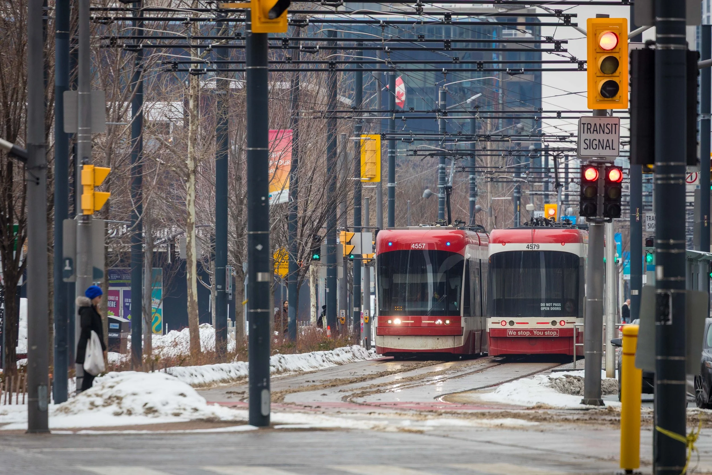 Streetcars on Queen Quay West