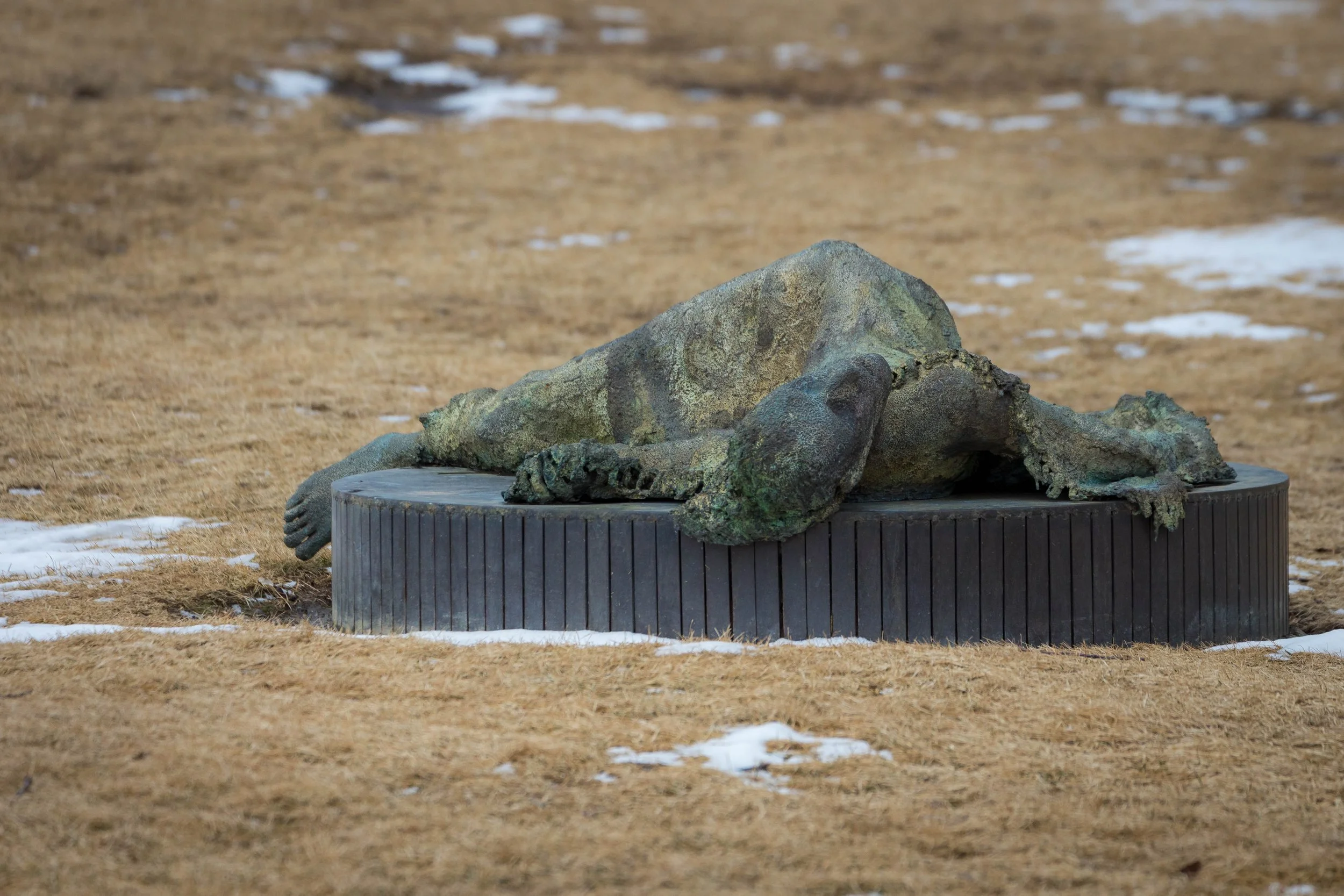Harbourfront Toronto-1485.jpg