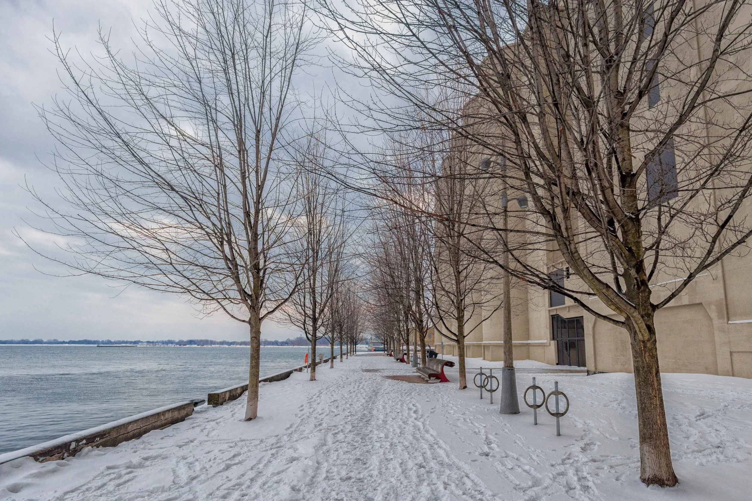 Ireland Park at Bathurst Quay