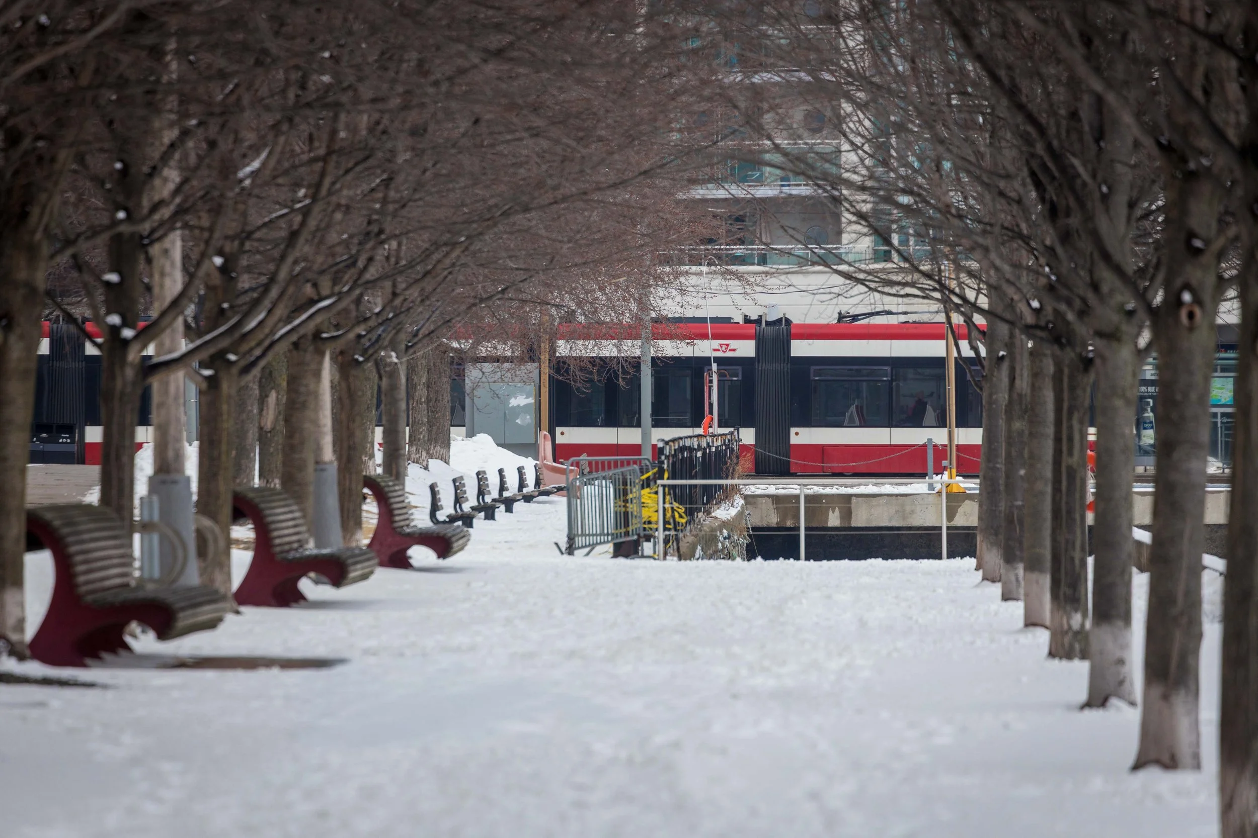 Harbourfront Toronto-1492.jpg