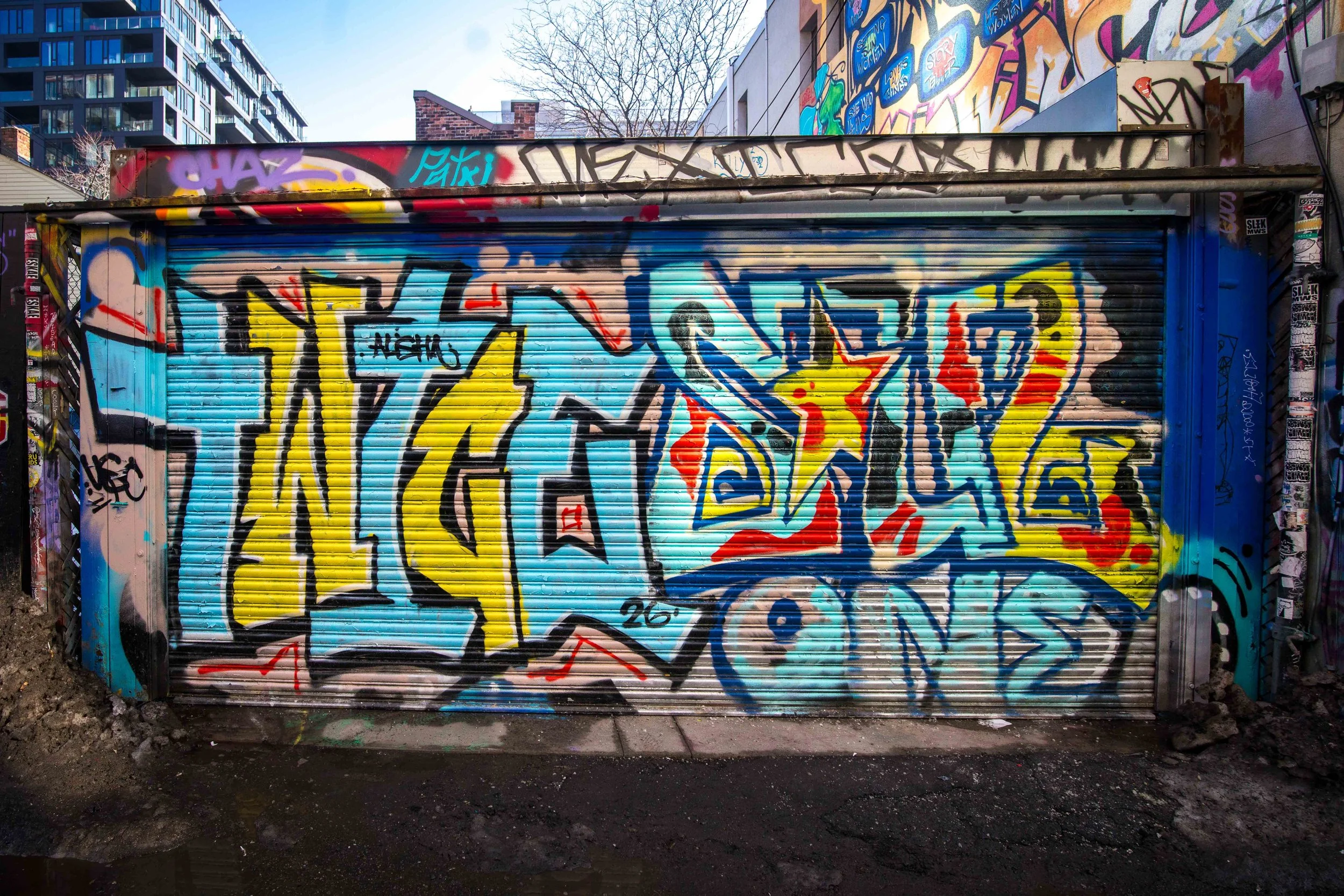 Graffiti Alley Toronto-3391.jpg