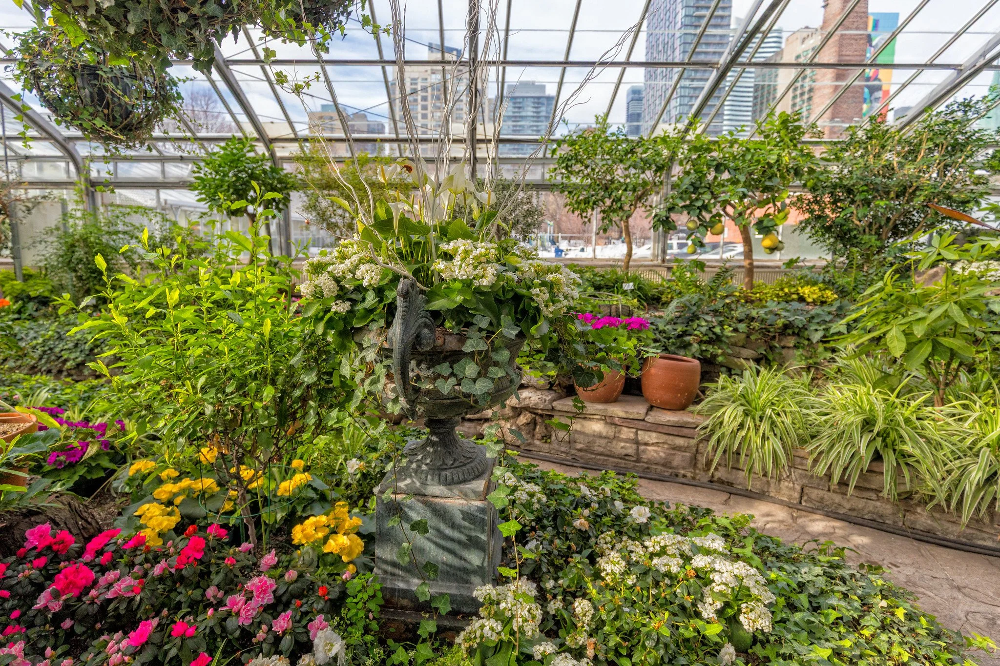Inside the Greenhouse