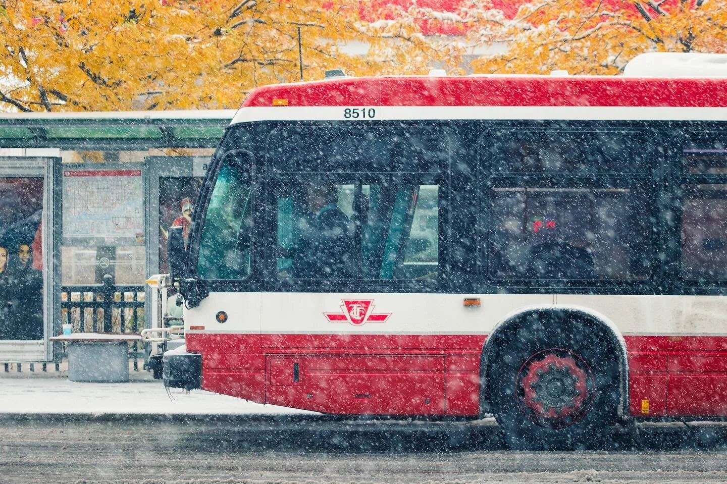 Toronto does autumn and winter in the same breath &mdash; yellow leaves, first snow, and the TTC rolling through it all.