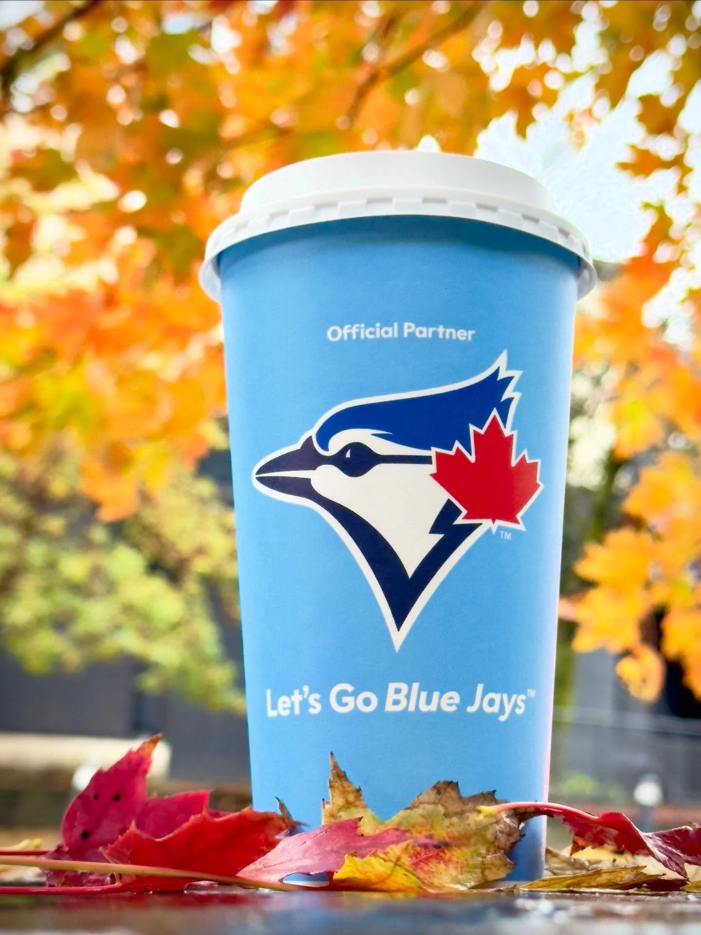 Layers of fall colour, a flash of blue &mdash; and the buzz of October baseball in the air.
#LetsGoBlueJays #WantItAll #OctoberInToronto #TimHortons #BlueJays