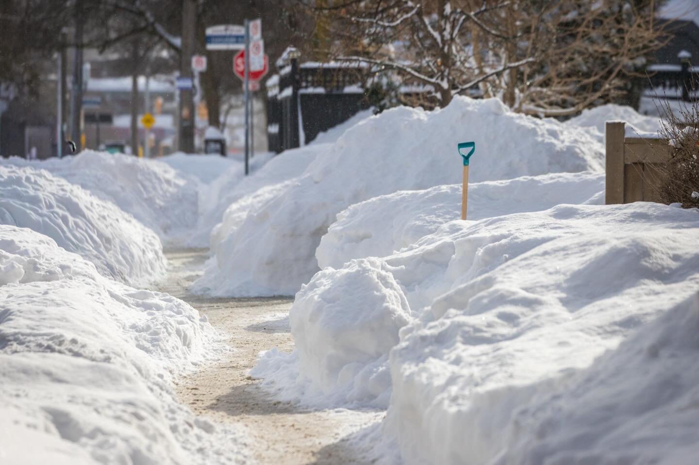 Fresh paths through deep winter. There&rsquo;s something quietly magical about these snow-lined sidewalks &mdash; a reminder that even after the heaviest storms, we keep moving forward. ❄️ #onstorm