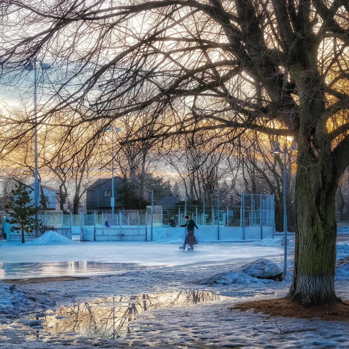 Late Day Reflections at Dieppe Park in East York