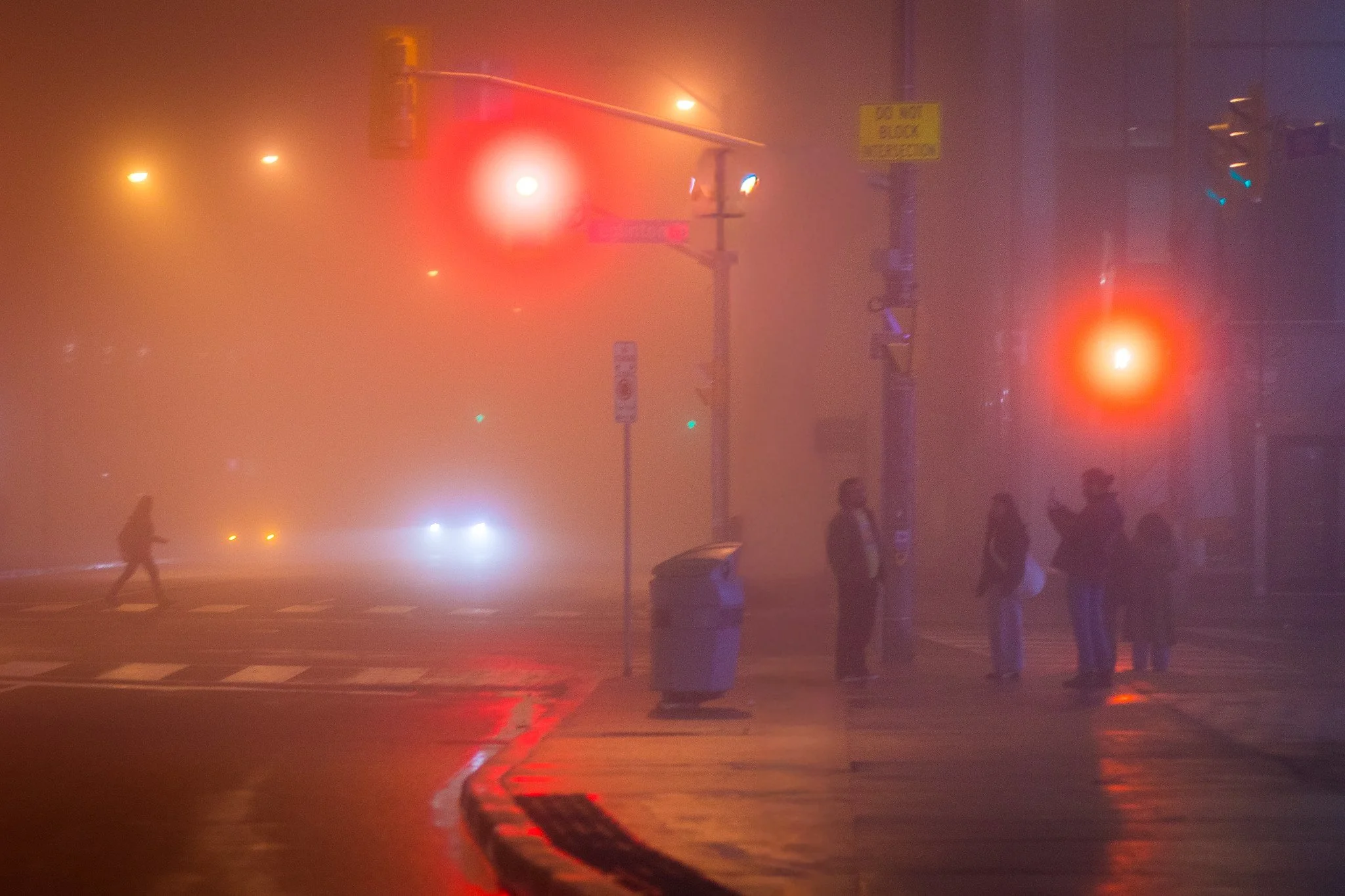 A Moment in the Fog