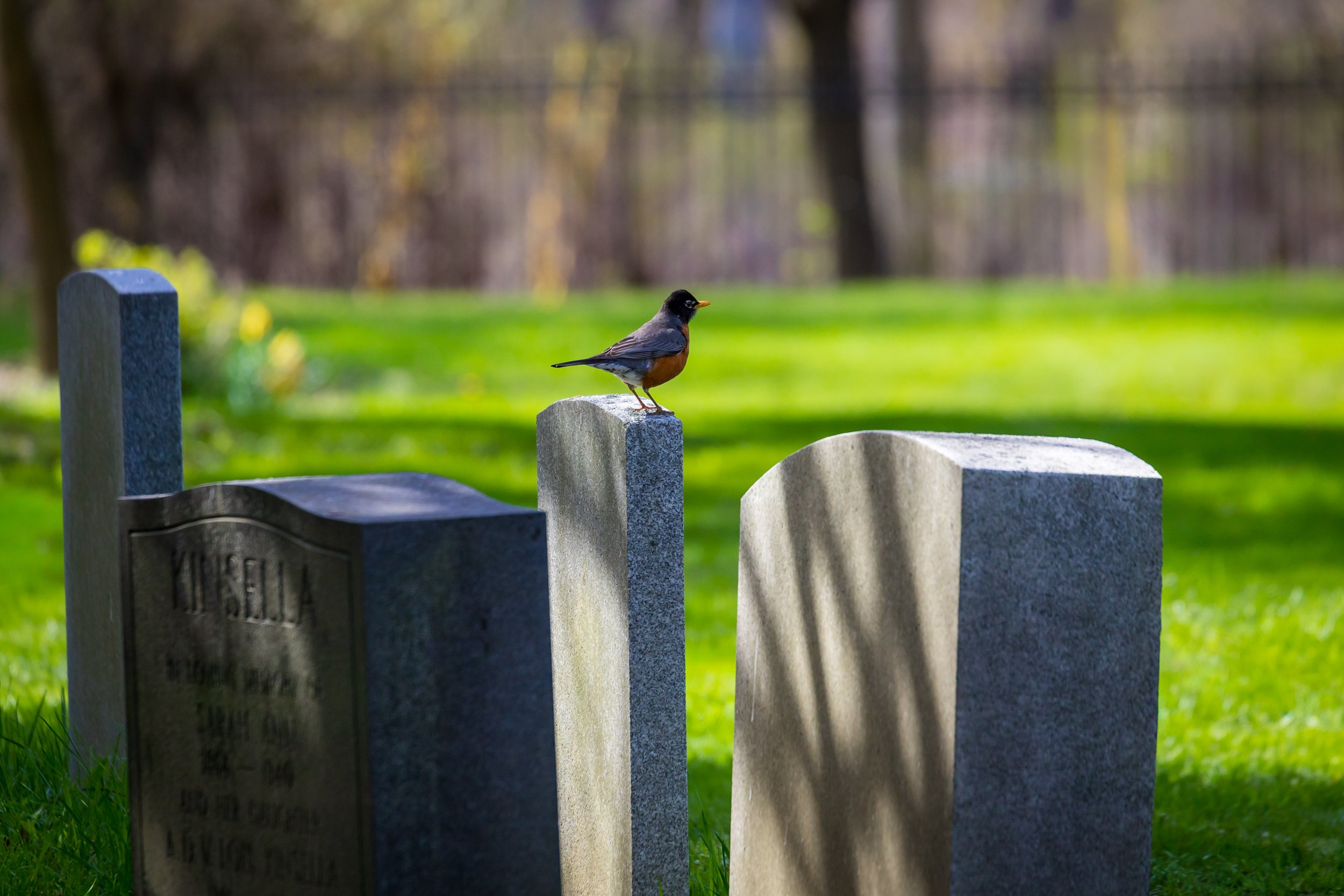 Gravestones and Robin