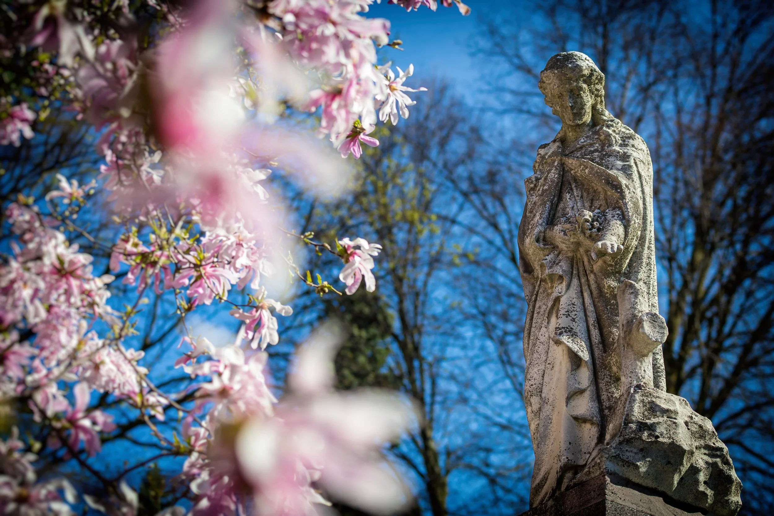 Spring at Mount Pleasant Cemetery