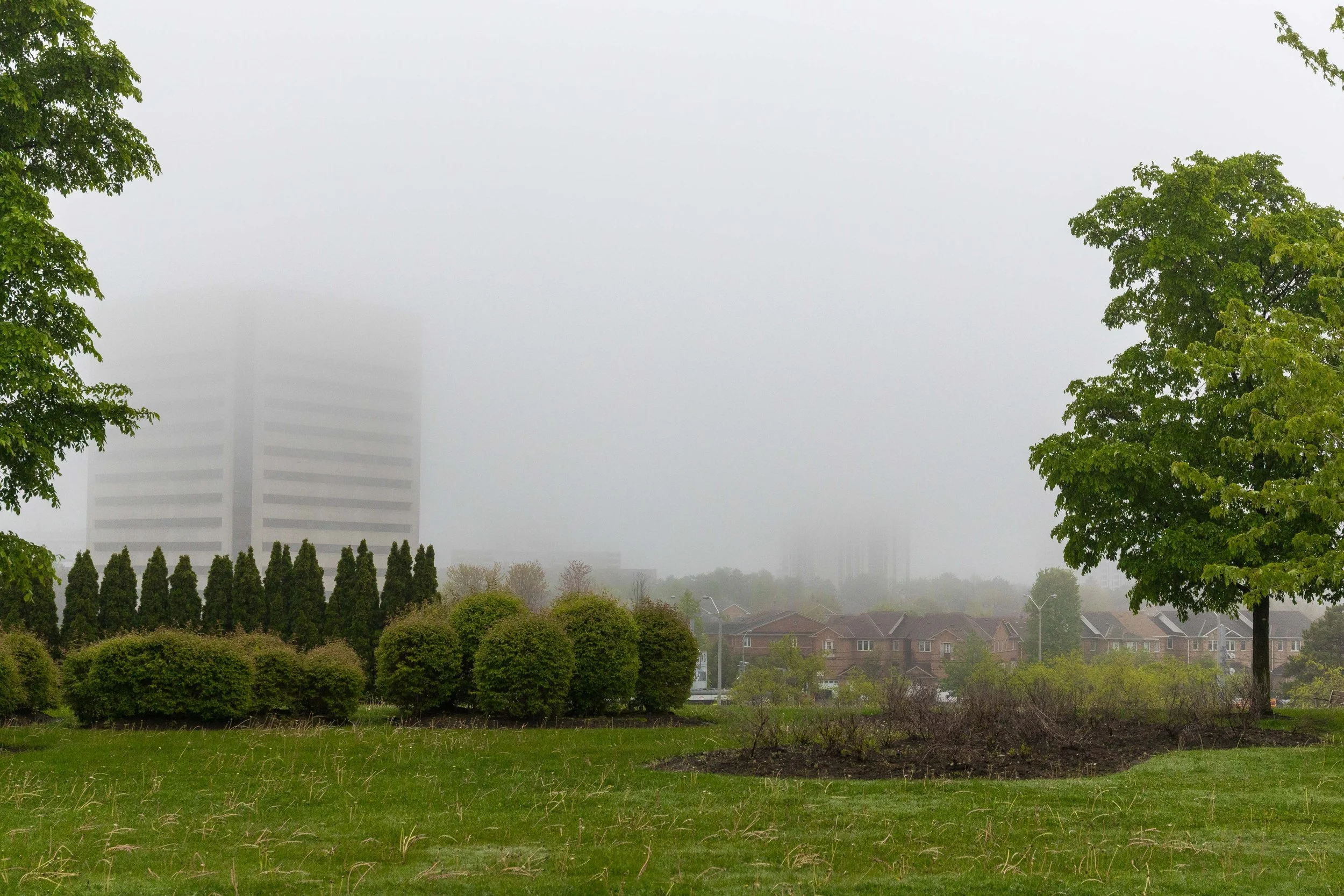 Fog Along the Gardens | Aga Khan Park