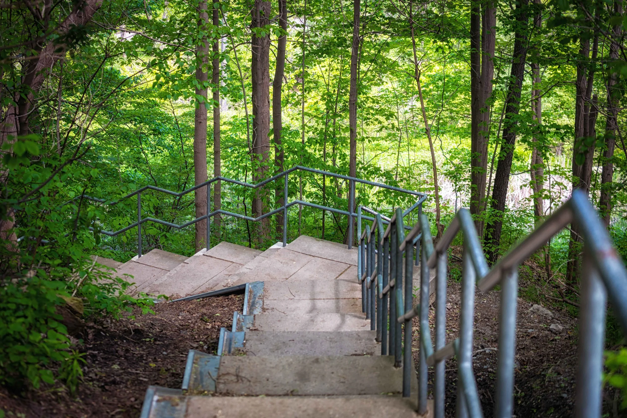 Stairs Cullen Bryant Park.jpg