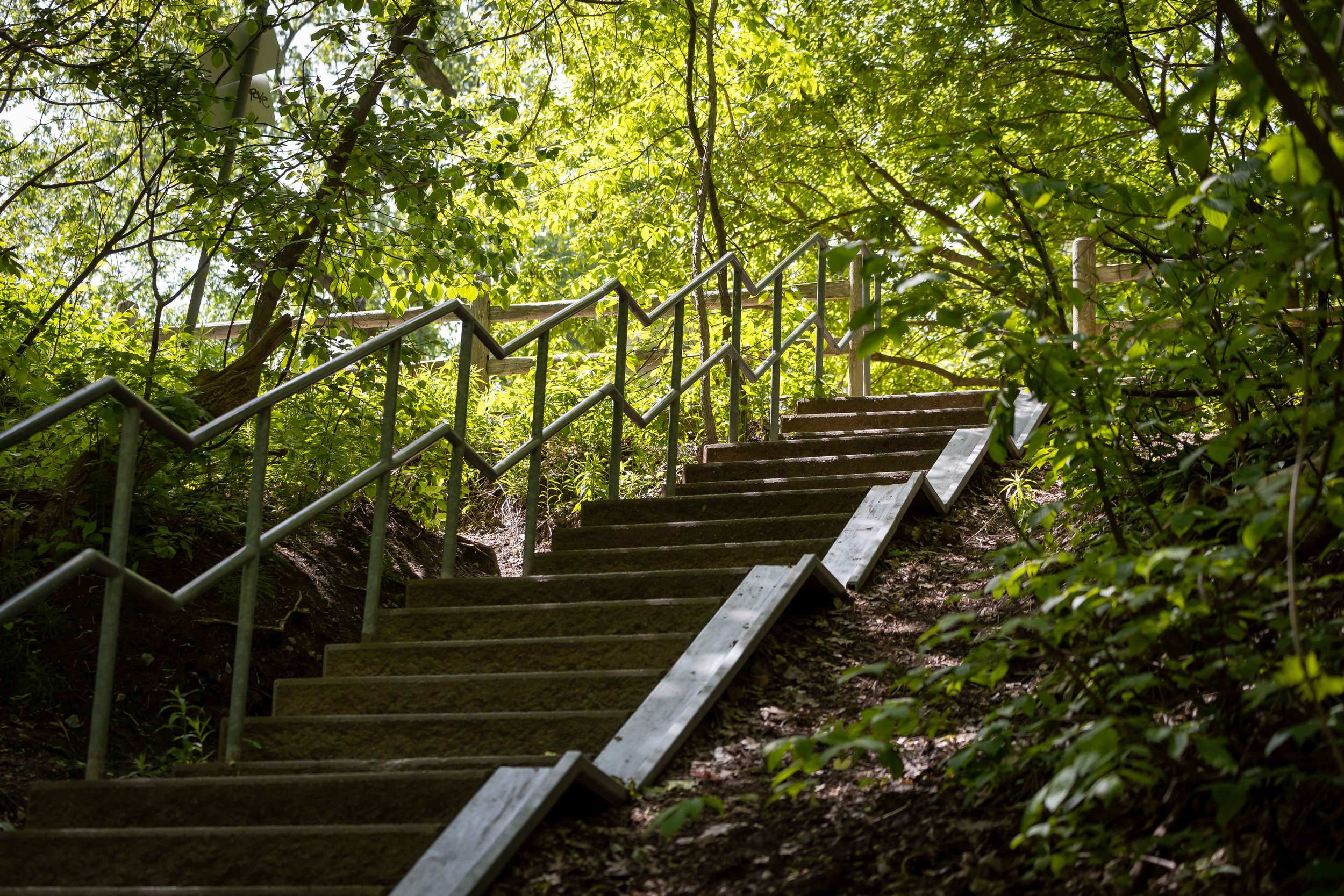 Stairs to the Don Valley South Trail