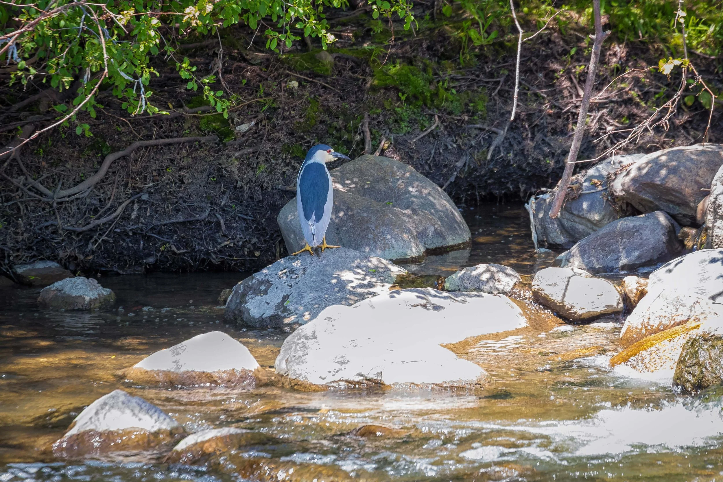 20260529-IMG_4206-Edit.jpg