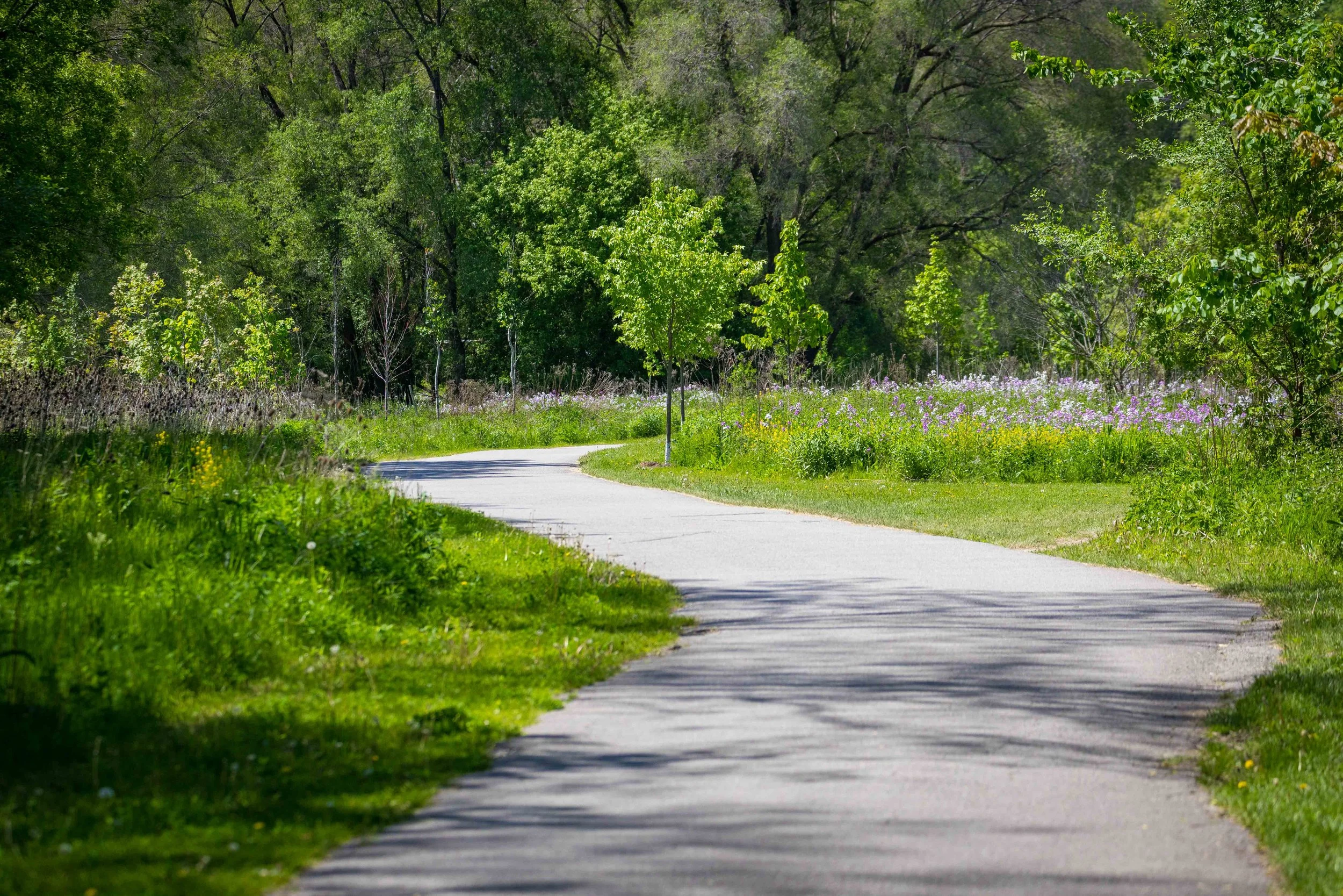 Wildlife, History, and Spring Along the Lower Don