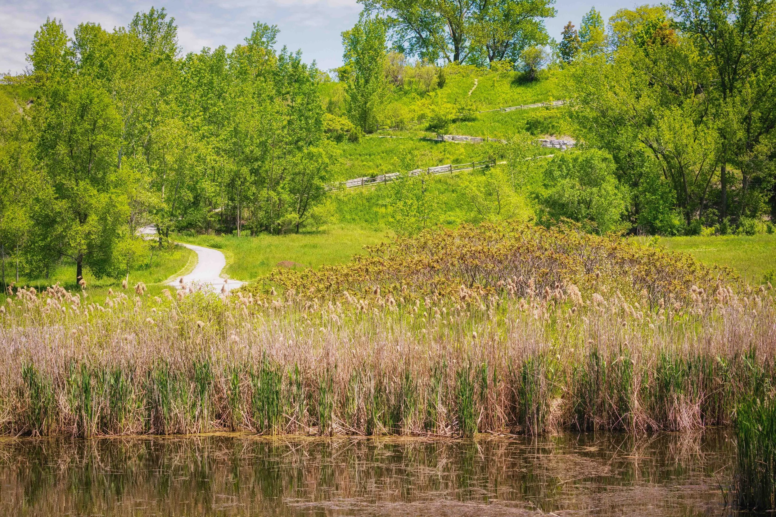 East Slope Toronto Brick Works Quarry