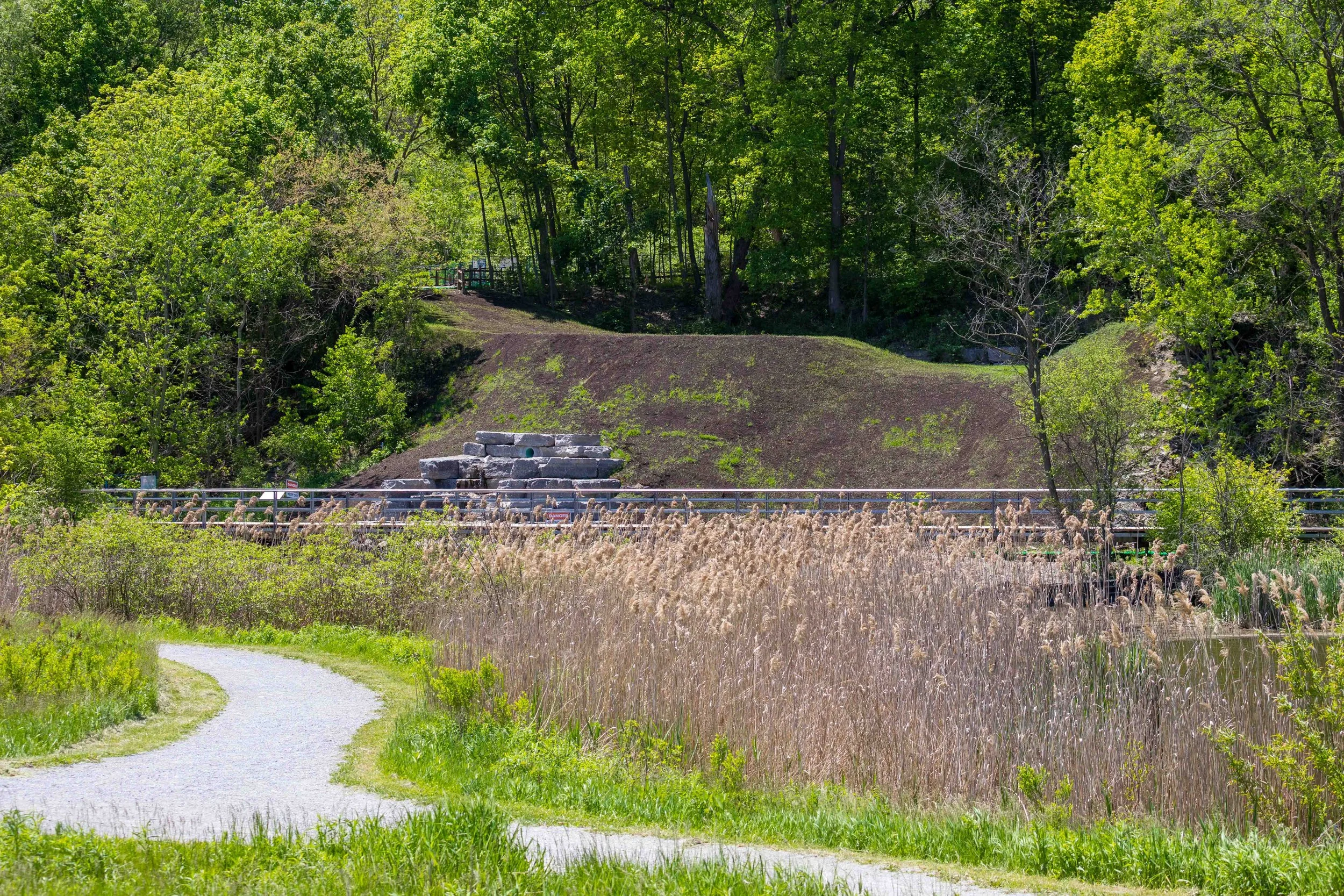Regenerating Woodland Habitat