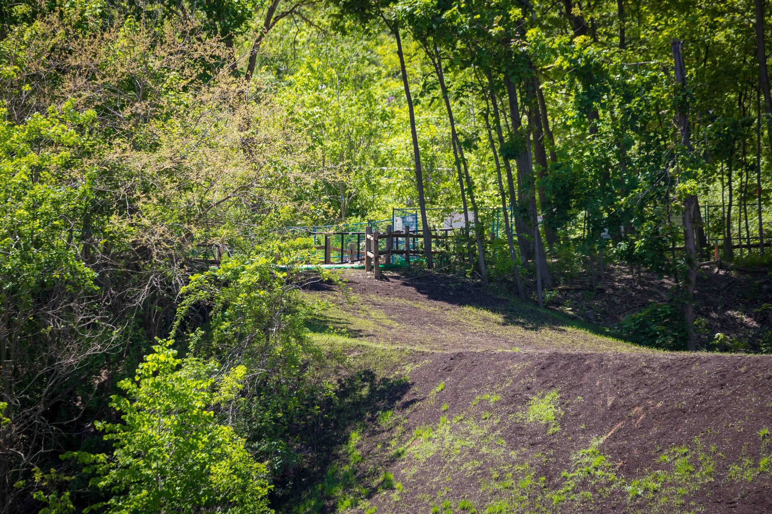 North West Slope and Wetlands, Evergreen Brick Works