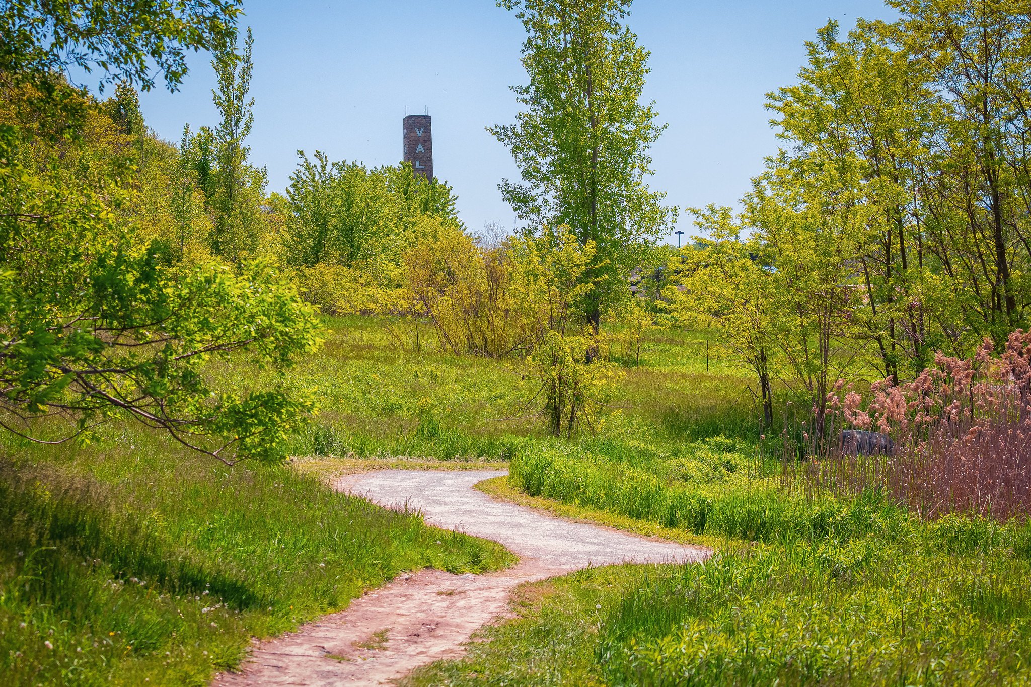 Path Through the Brick Works Wetlands