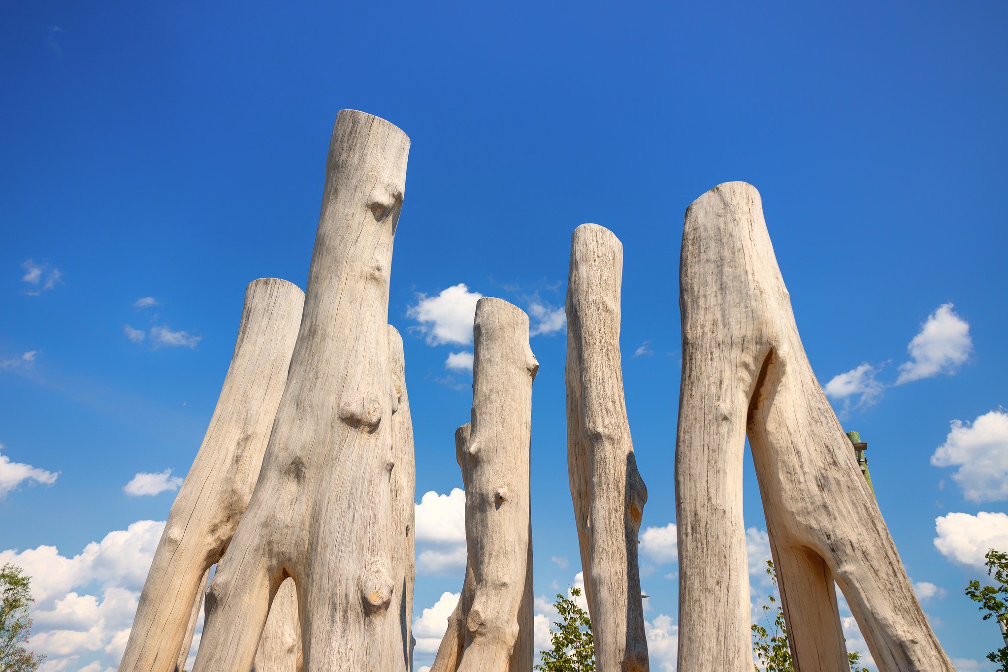 White Oak Climbers – Biidaasige Park