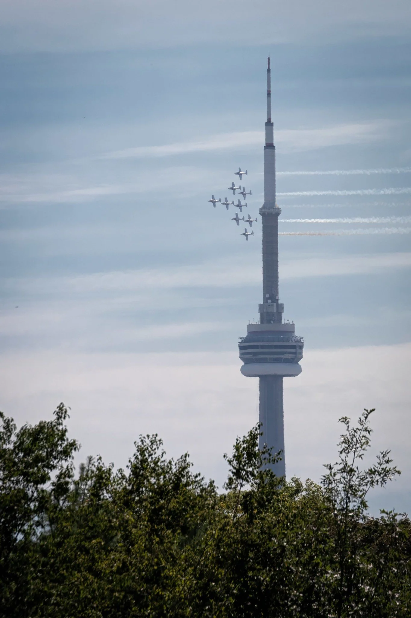 Goodbye, Snowbirds