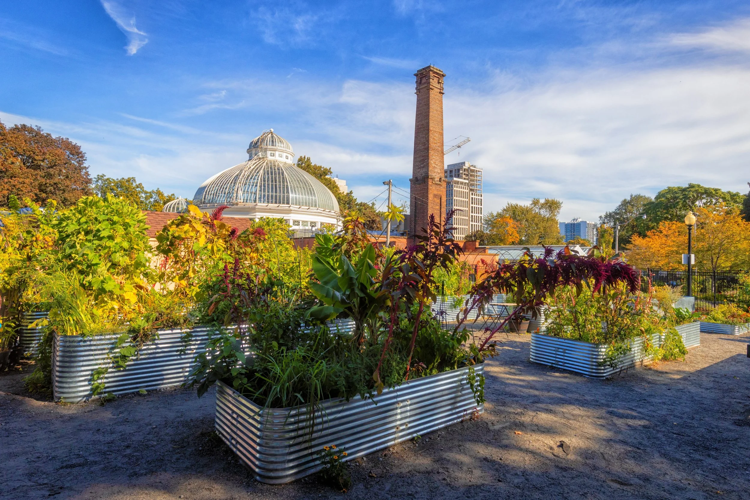 Autumn in the Children&rsquo;s Garden at Allan Gardens 🍂🌿